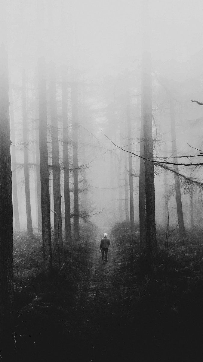 675x1200 Download premium image of Black and white mobile wallpaper, forest phone background, lonely and mystery mood by Luke Stackpoole about iphone wallpaper dark, dark instagram story background, lonely, lonely man, and black