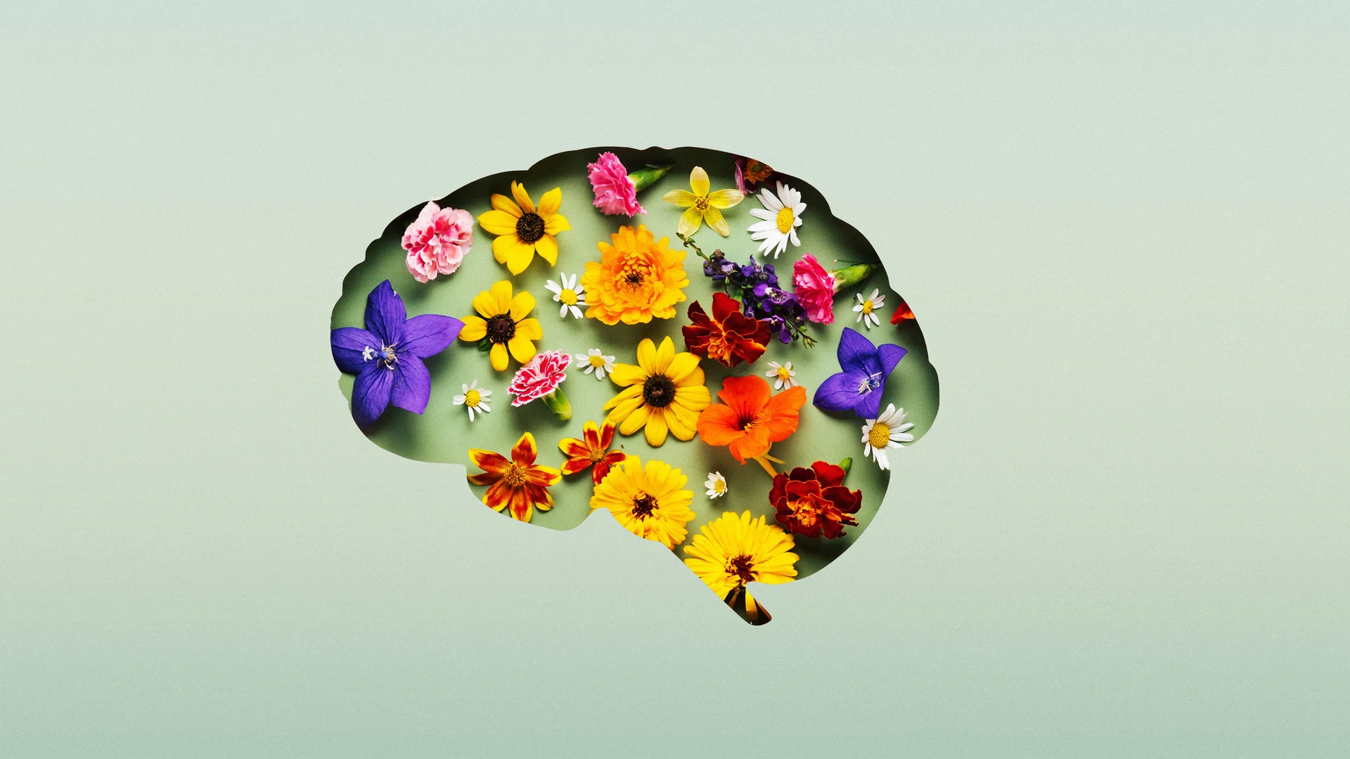 1920x1080 psychotherapy