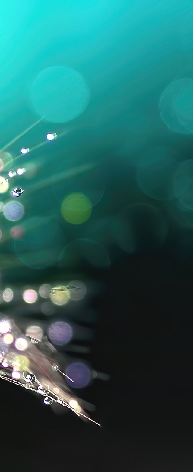 640x1560 Psychotherapy Services. Ursula Baird Therapy