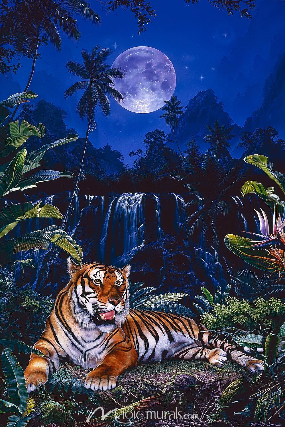 1000x1500 Eyes of the Tiger