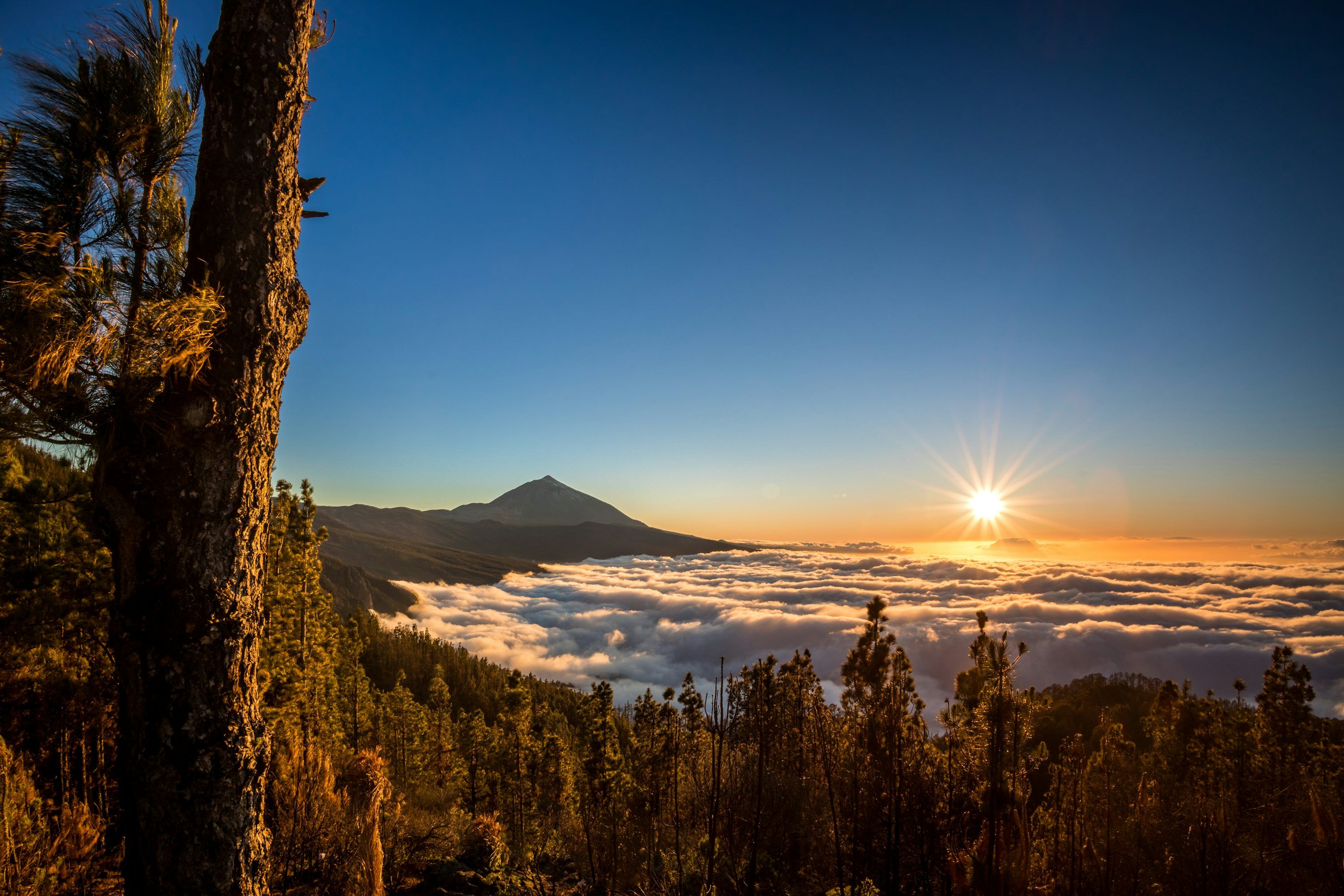 3000x2000 Teide Picture. Download Free Image