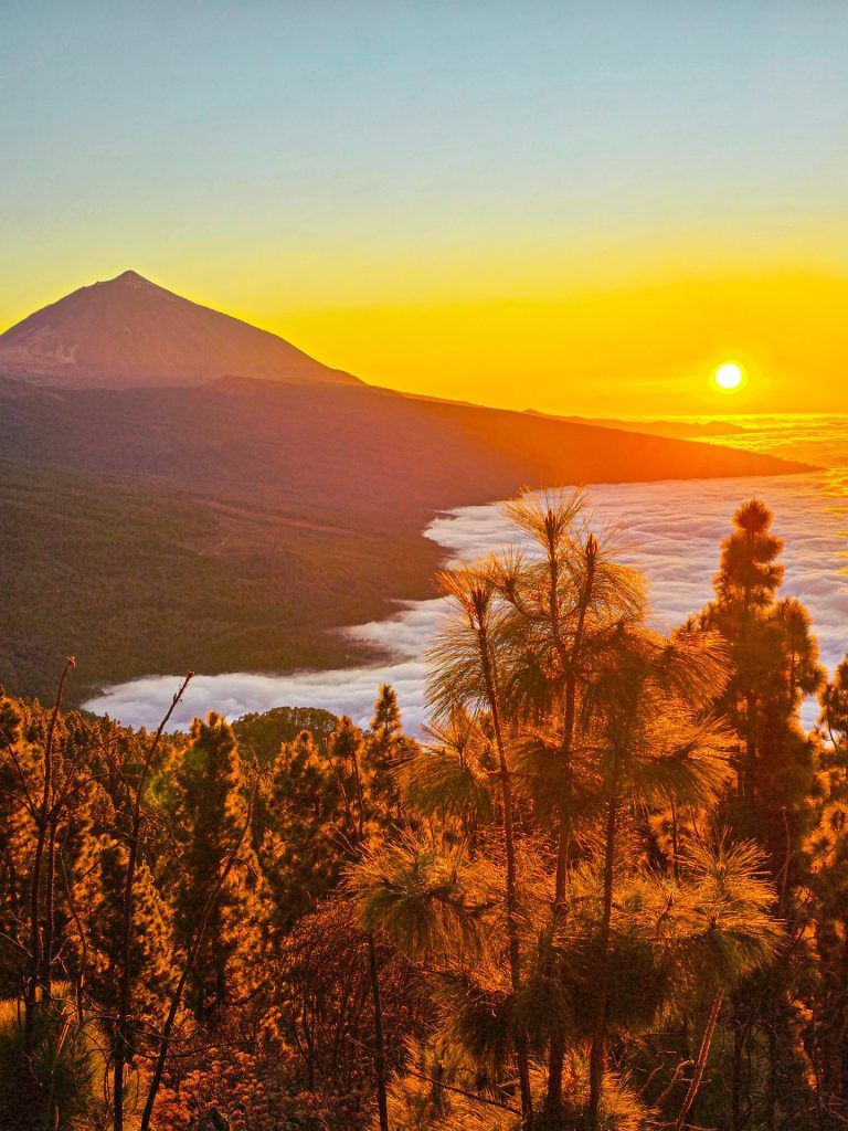 768x1024 Teide National Park