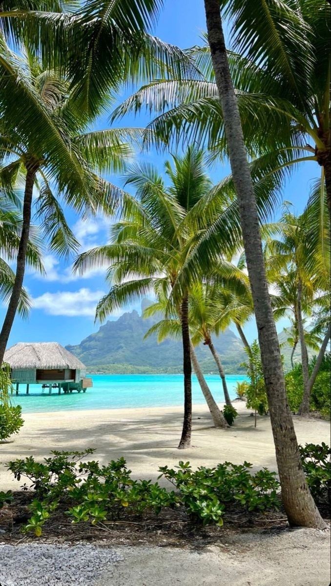 678x1200 Pulau Manado by Nata. Spiagge tropicali, Paesaggio estivo, Paesaggio tropicale
