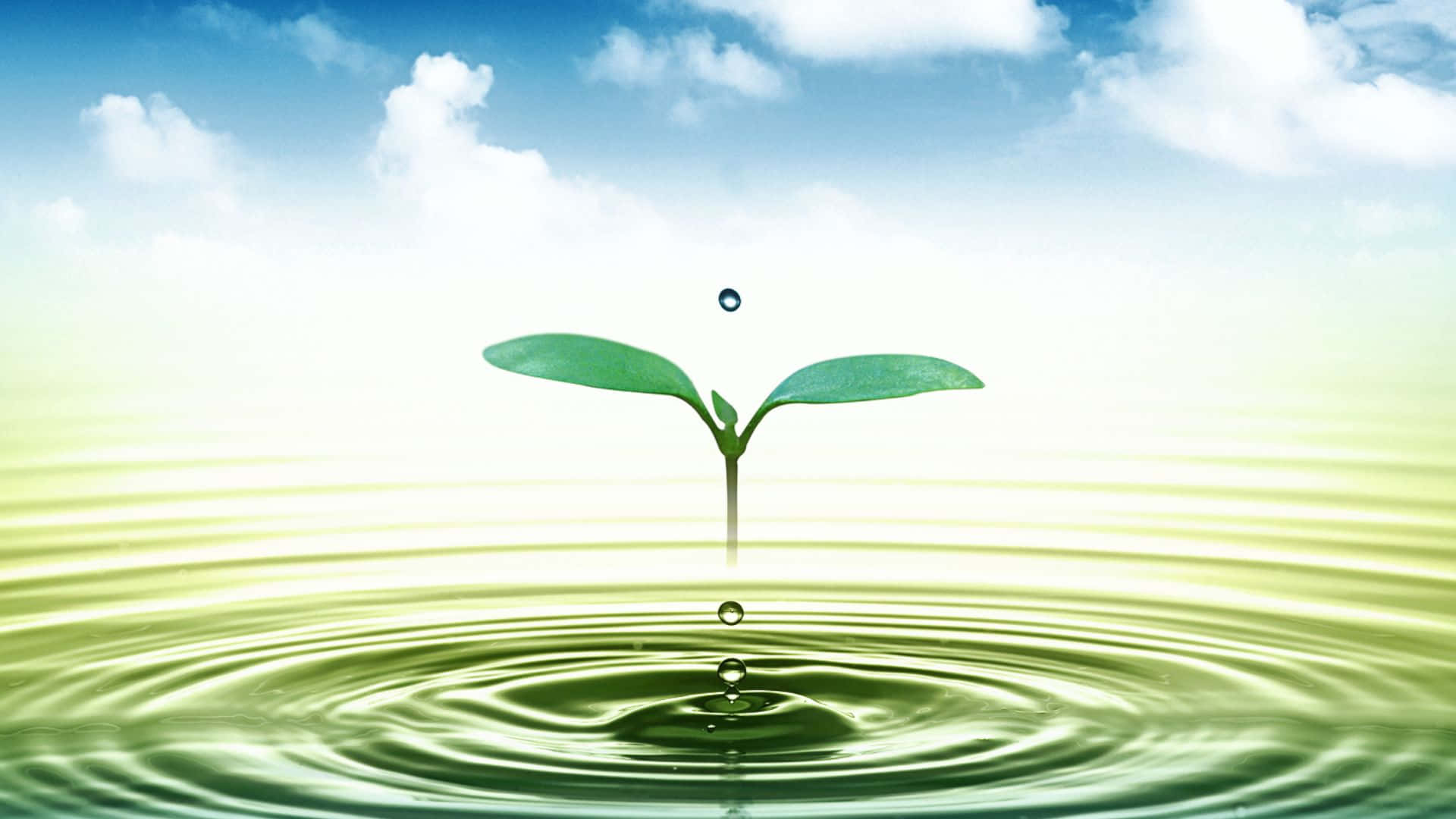 1920x1080 Download A Moment of Conservation Water, Save Nature Wallpaper