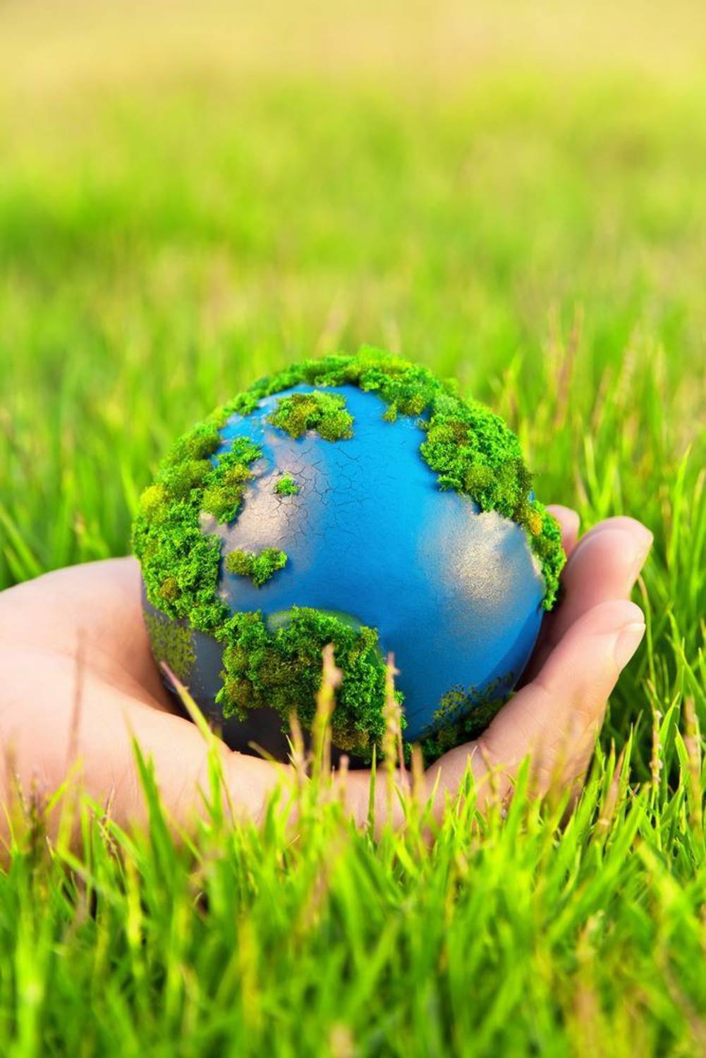 1001x1500 Ave Green Planet Sticker Poster. save Environment. NO Plastic. save Earth. size:12x18 Inch. multicolor Paper Print & Motivation Posters In India Art, Film, Design, Movie, Music, Nature And Educational Paintings Wallpaper At