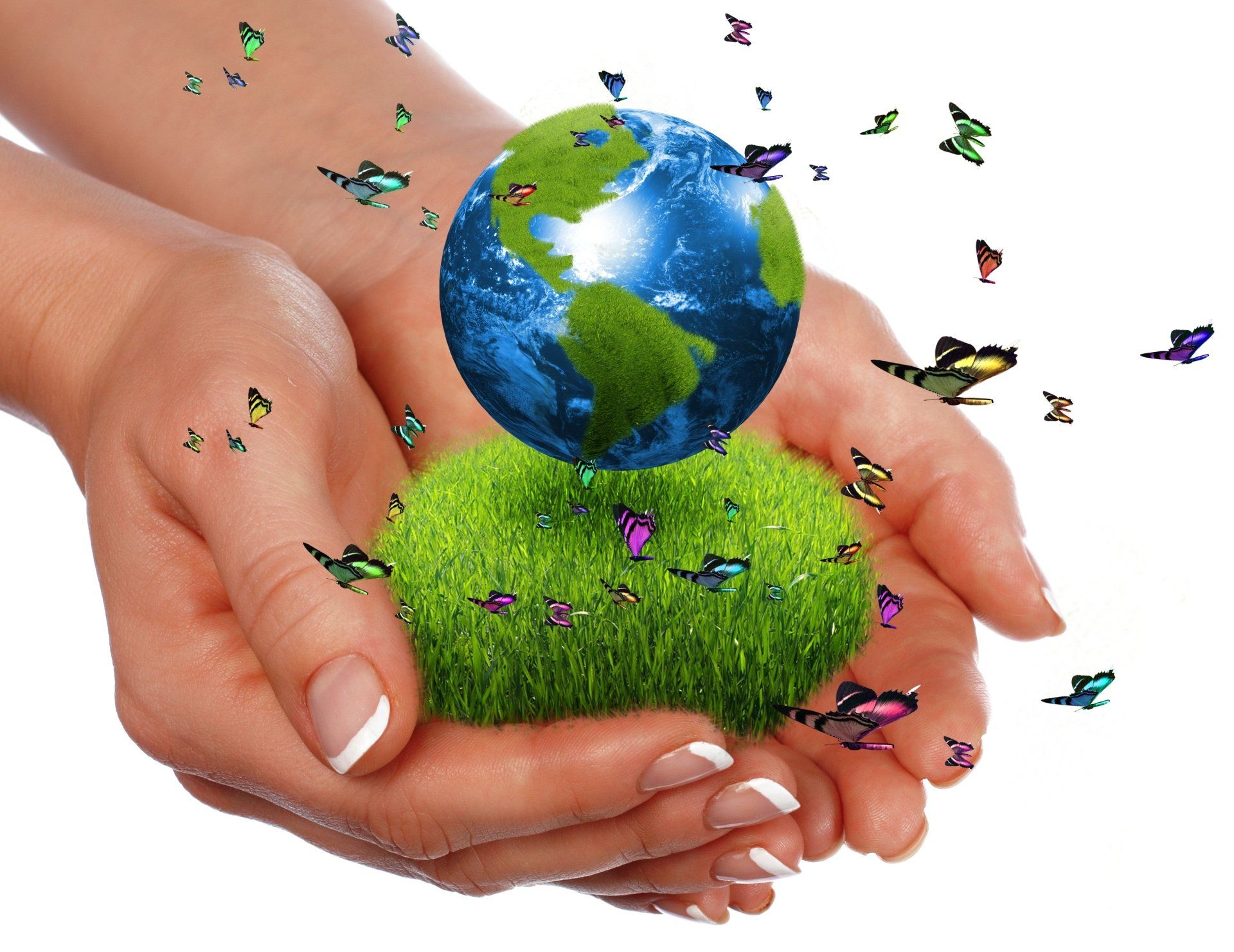 1920x1482 Earth Day HD Wallpaper: Nurturing Nature with Butterflies and Our Planetx2315
