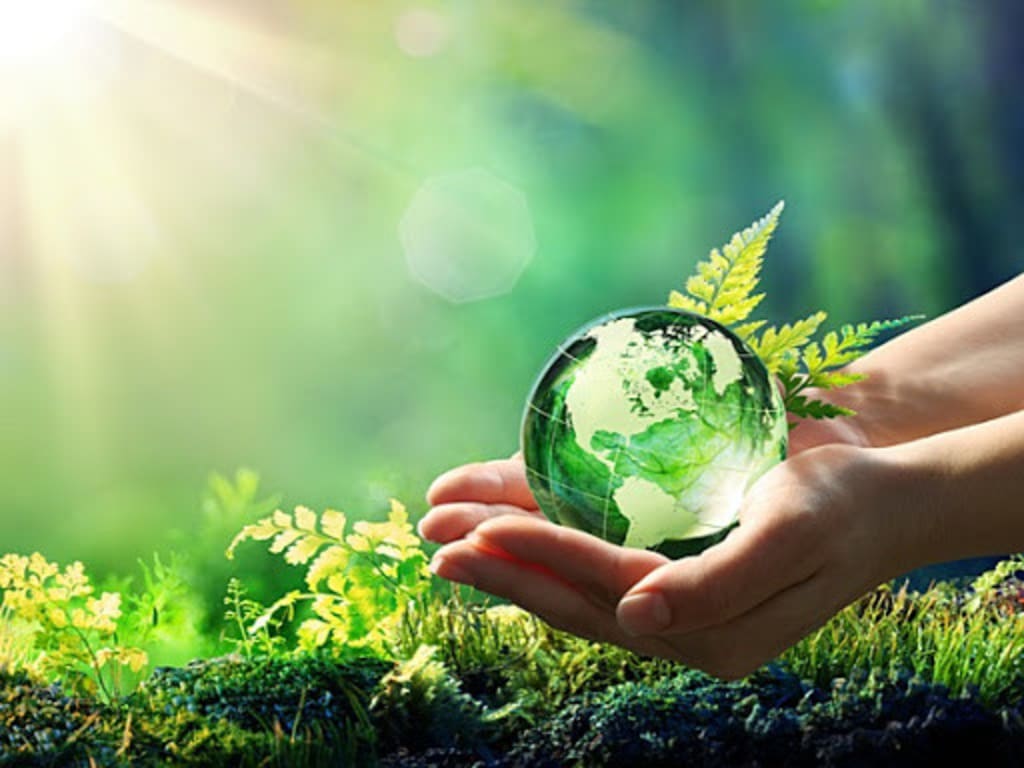 1024x768 Reasons Why We Should Protect the Environment and Nature