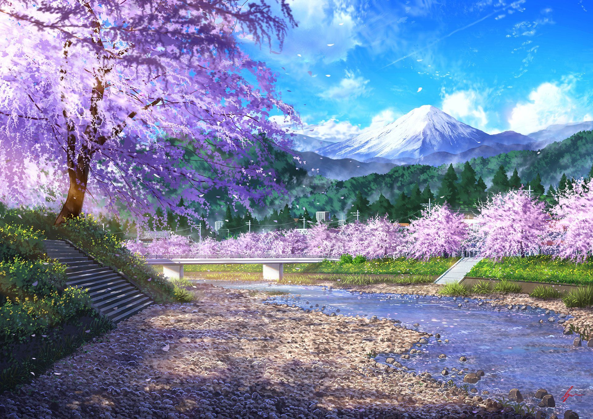 1920x1357 Anime Cherry Tree Fluid Anime School Background With Cherry Blossom Trees, In The Style Of Cartoon