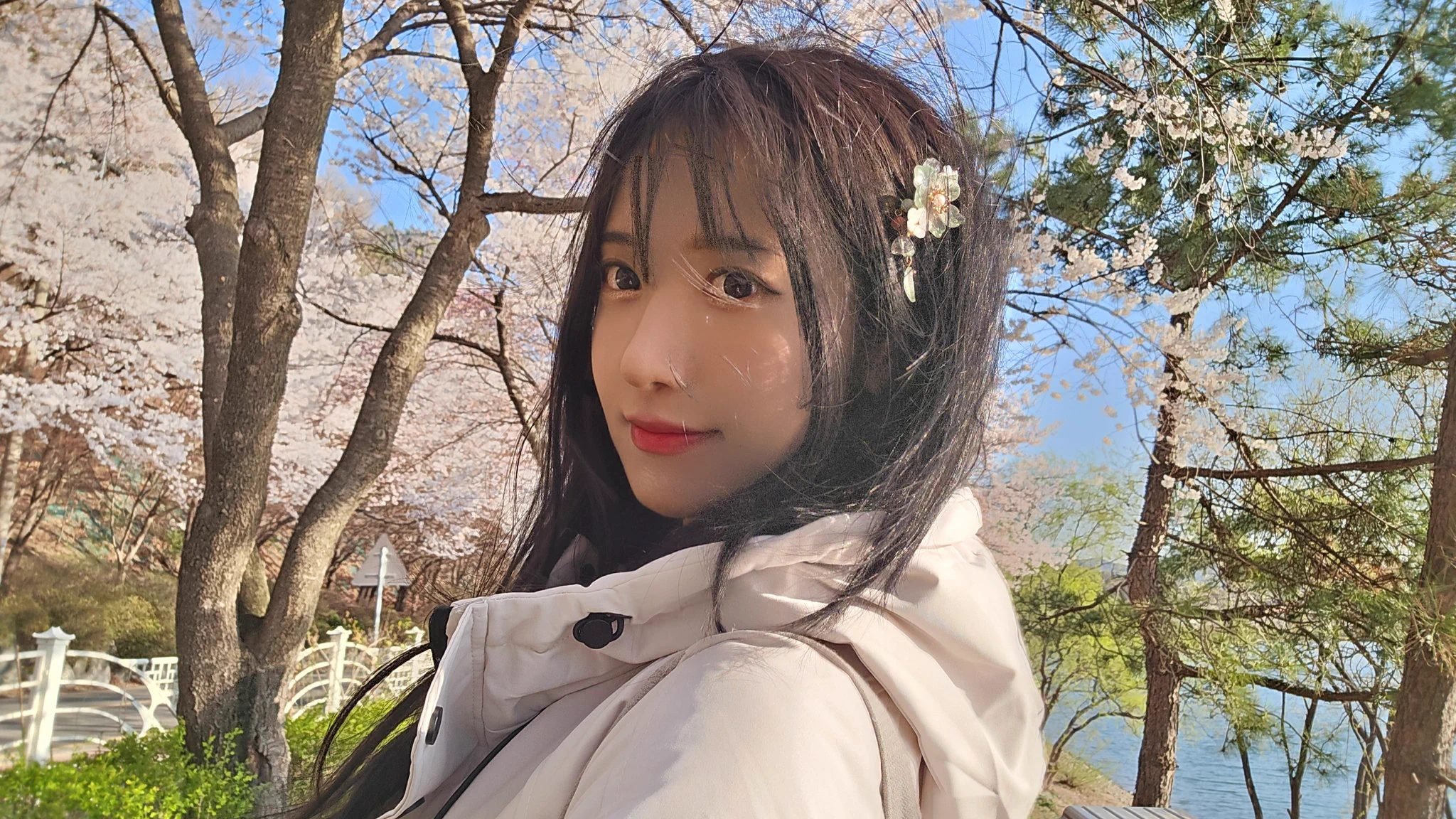 2048x1152 TSM Jinnytty on X: Pretty cherry blossom weee / X