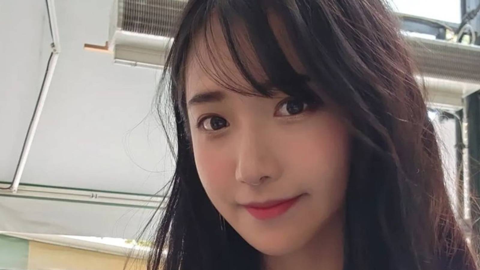 1600x900 Museum Asks Jinnytty for Incredibly Large Fee to Livestream on Twitch