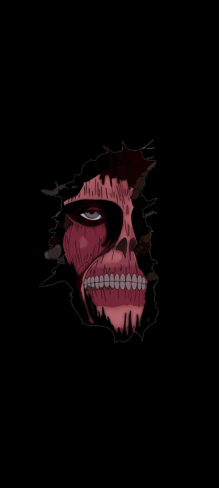 720x1600 Made this attack on titans, titan on the wall iphone wallpaper