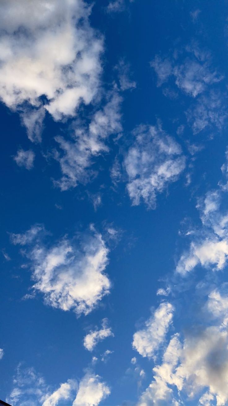 736x1309 Cloudy Sky ☁️