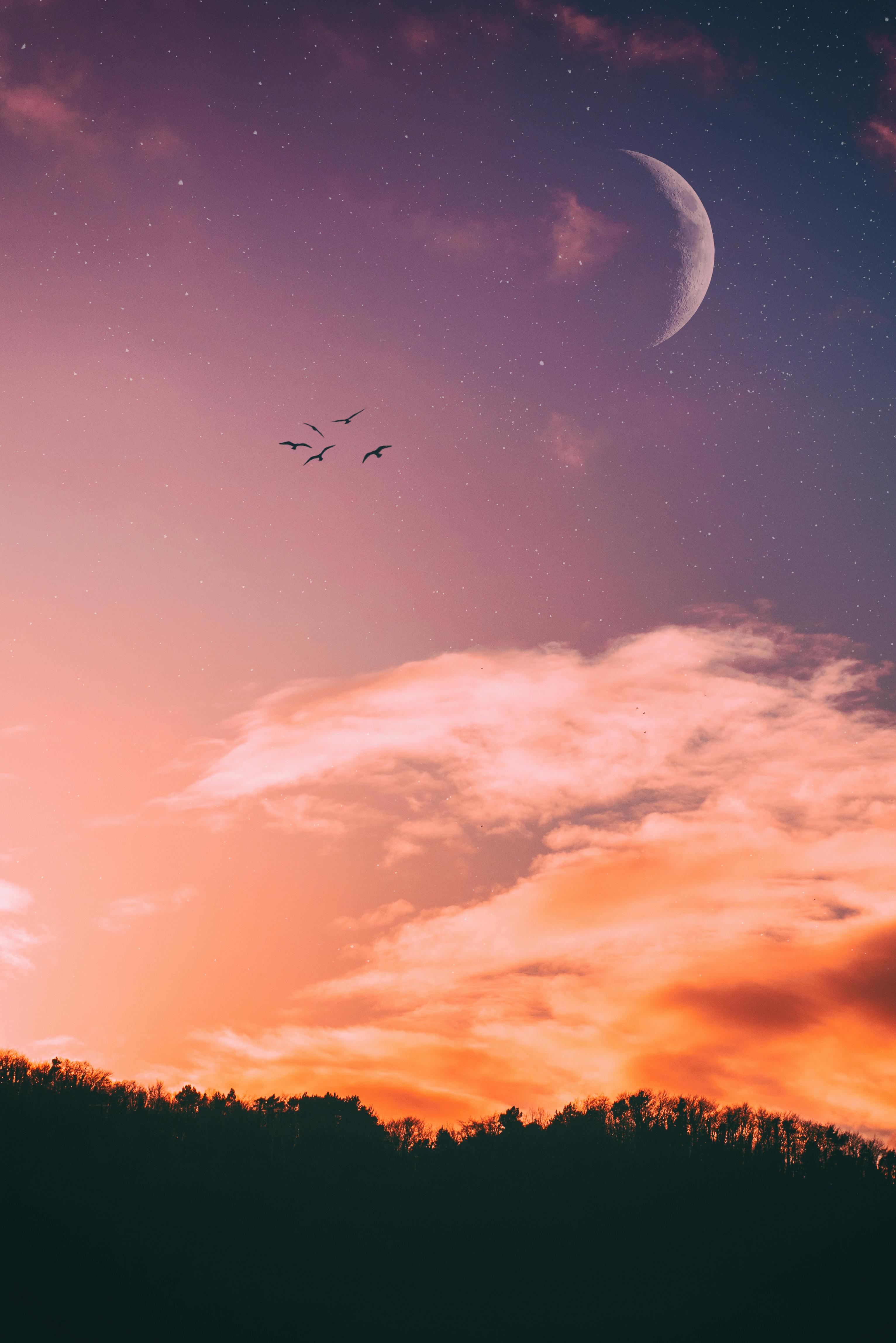 3064x4592 Real Sky Wallpaper