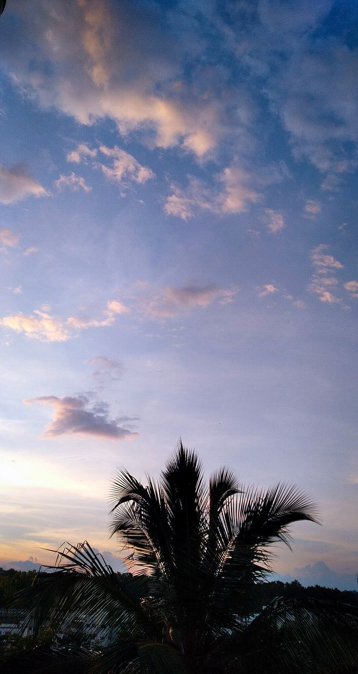 736x1383 Blue sky aesthetic