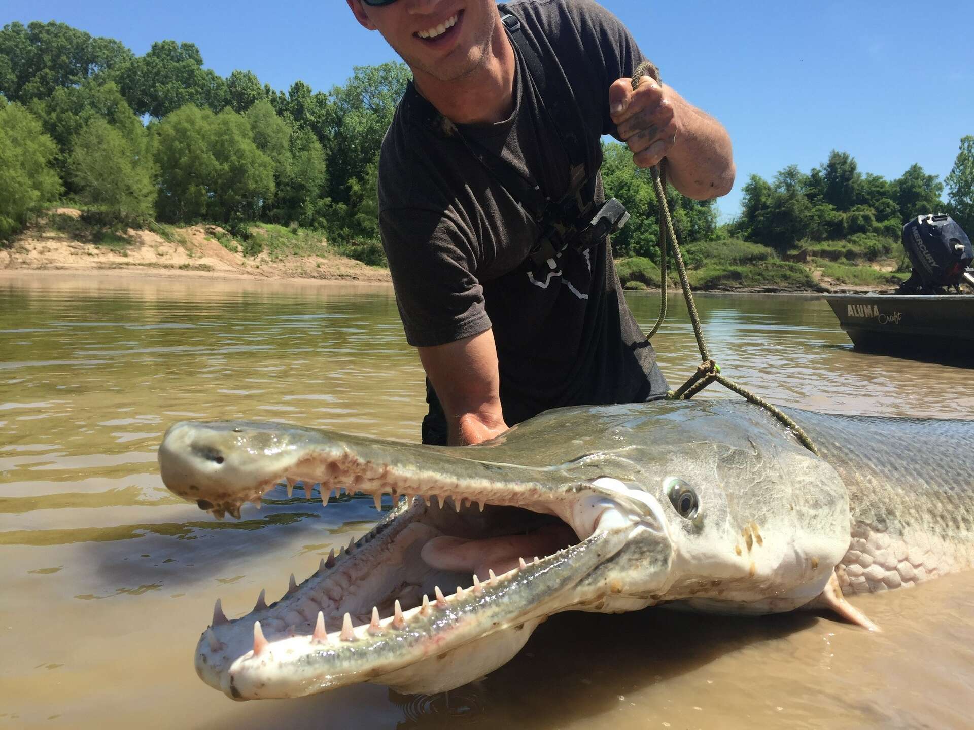 1920x1440 Texas' Own 'Fish Whisperer' Catches An 8 Foot Alligator Gar In The Trinity River
