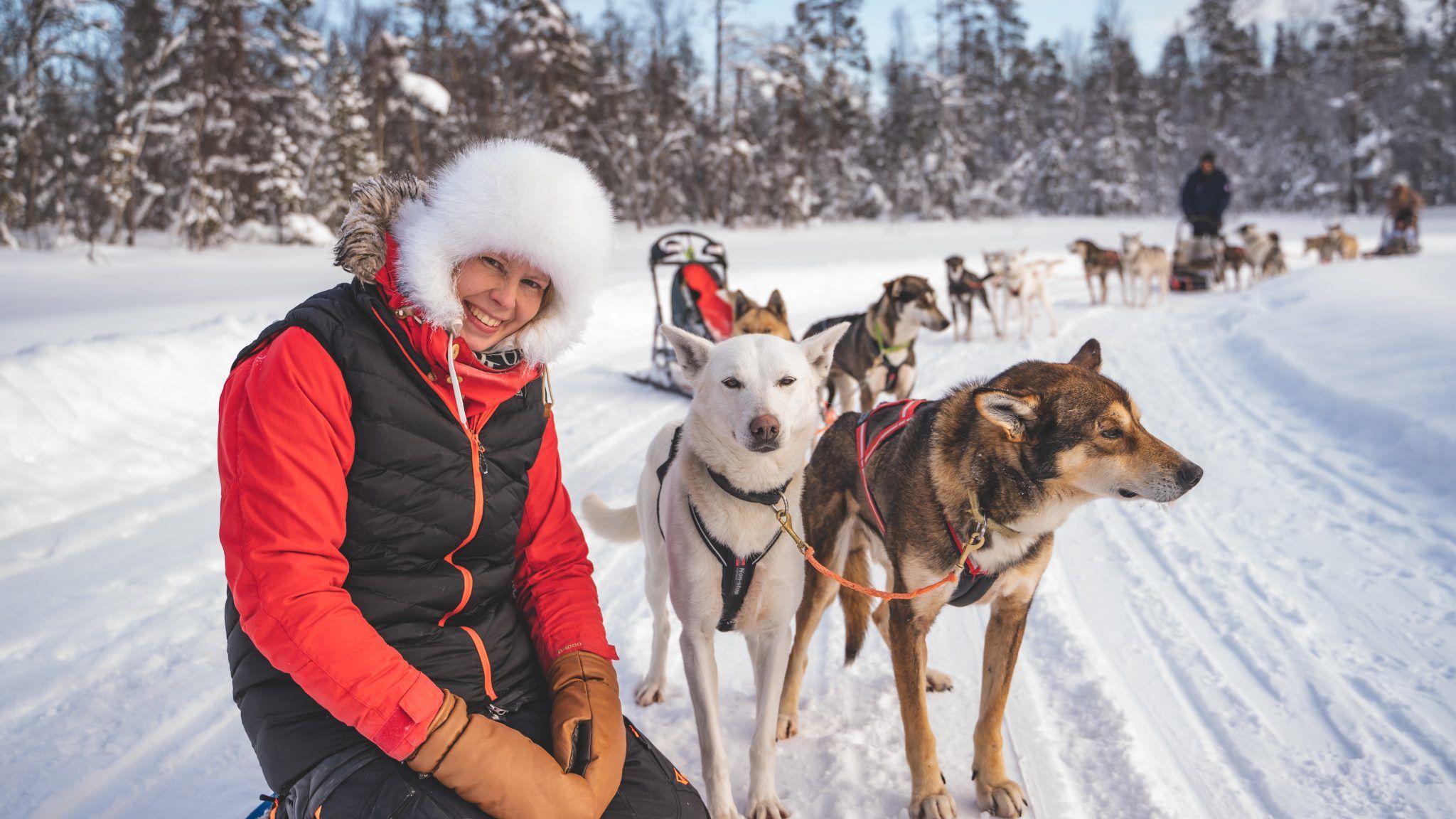 2048x1152 Christmas & New Year in Pello Lapland close to Rovaniemi, Finland