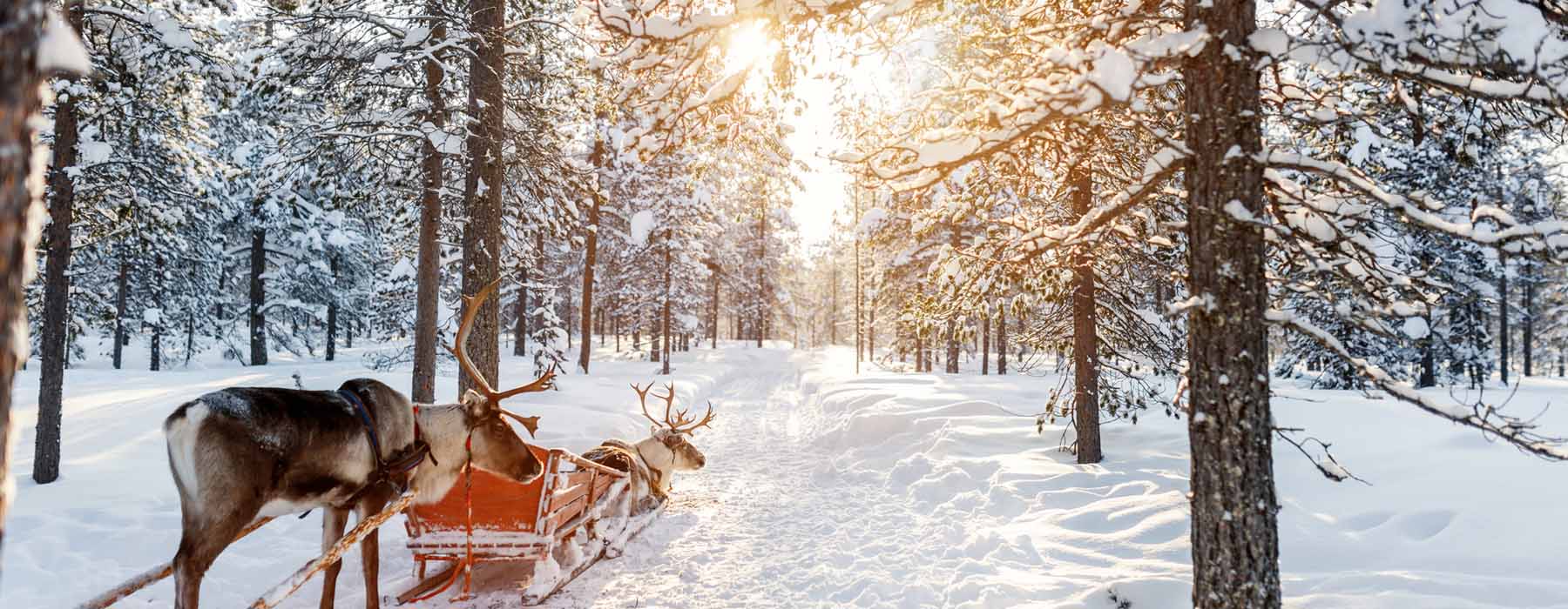 1800x700 Finland Family Holidays. Christmas in Finland