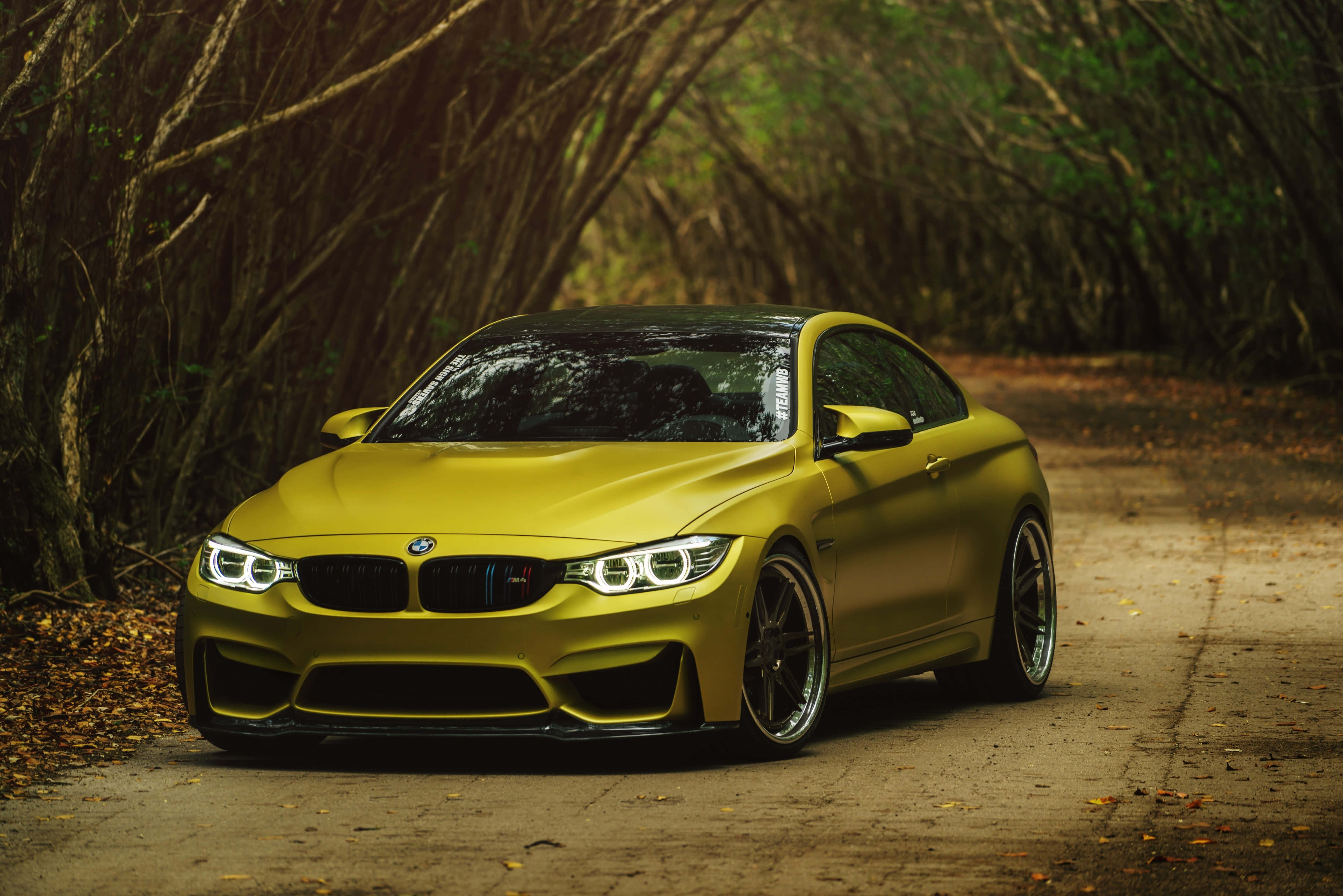 5000x3337 Download Gold Cars BMW M4 Wallpaper