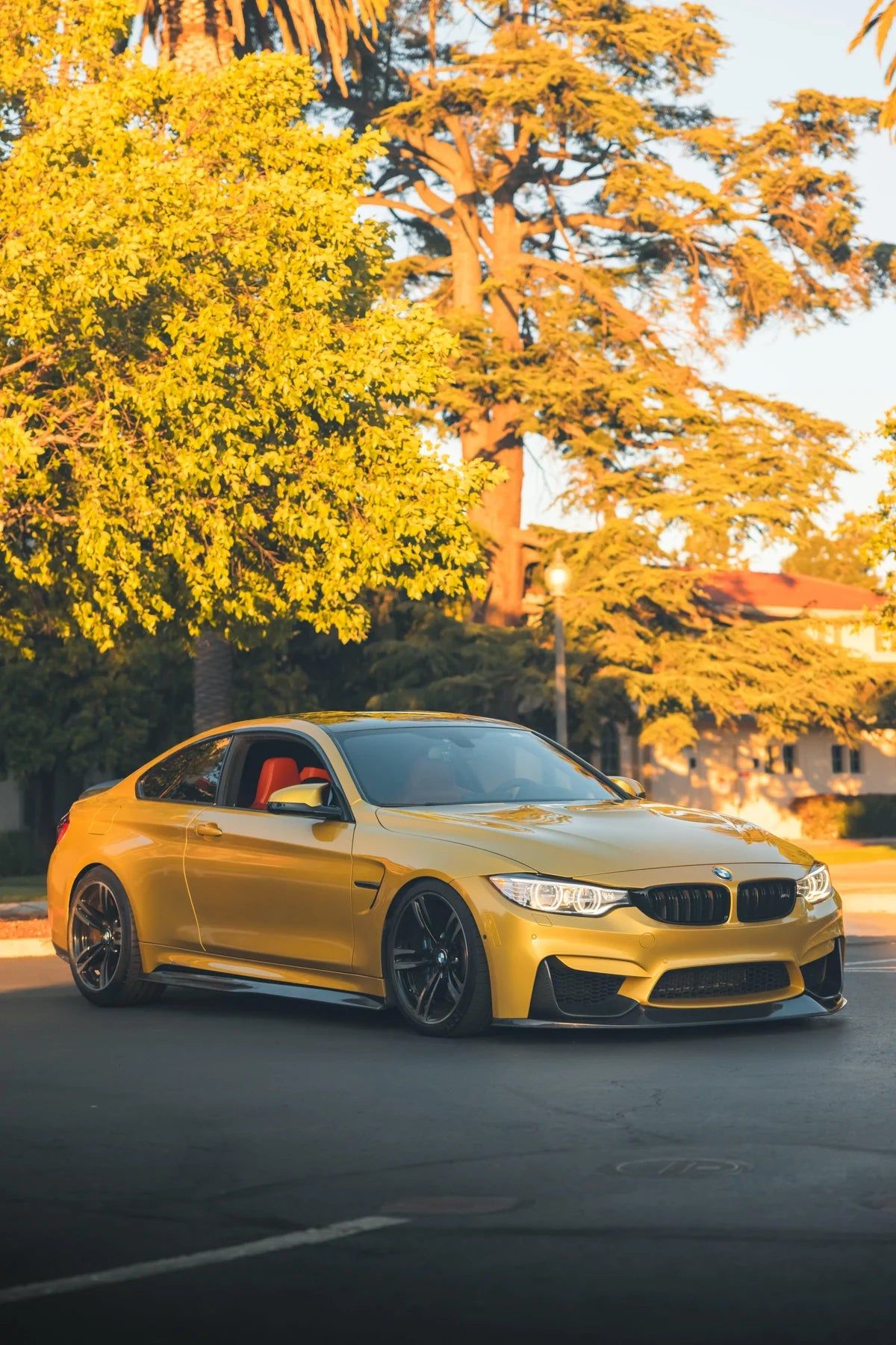1200x1800 Post your best photo of your M3 or M4