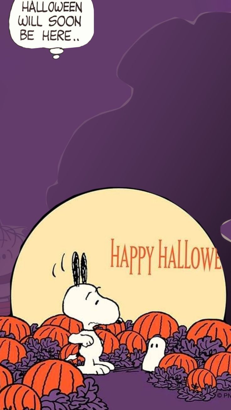 736x1308 snoopy #holloween #purple #orange #peanuts #pumkin #thegreatpumkin # charliebrown. Purple and orange pumpkin, Charlie brown pumpkin