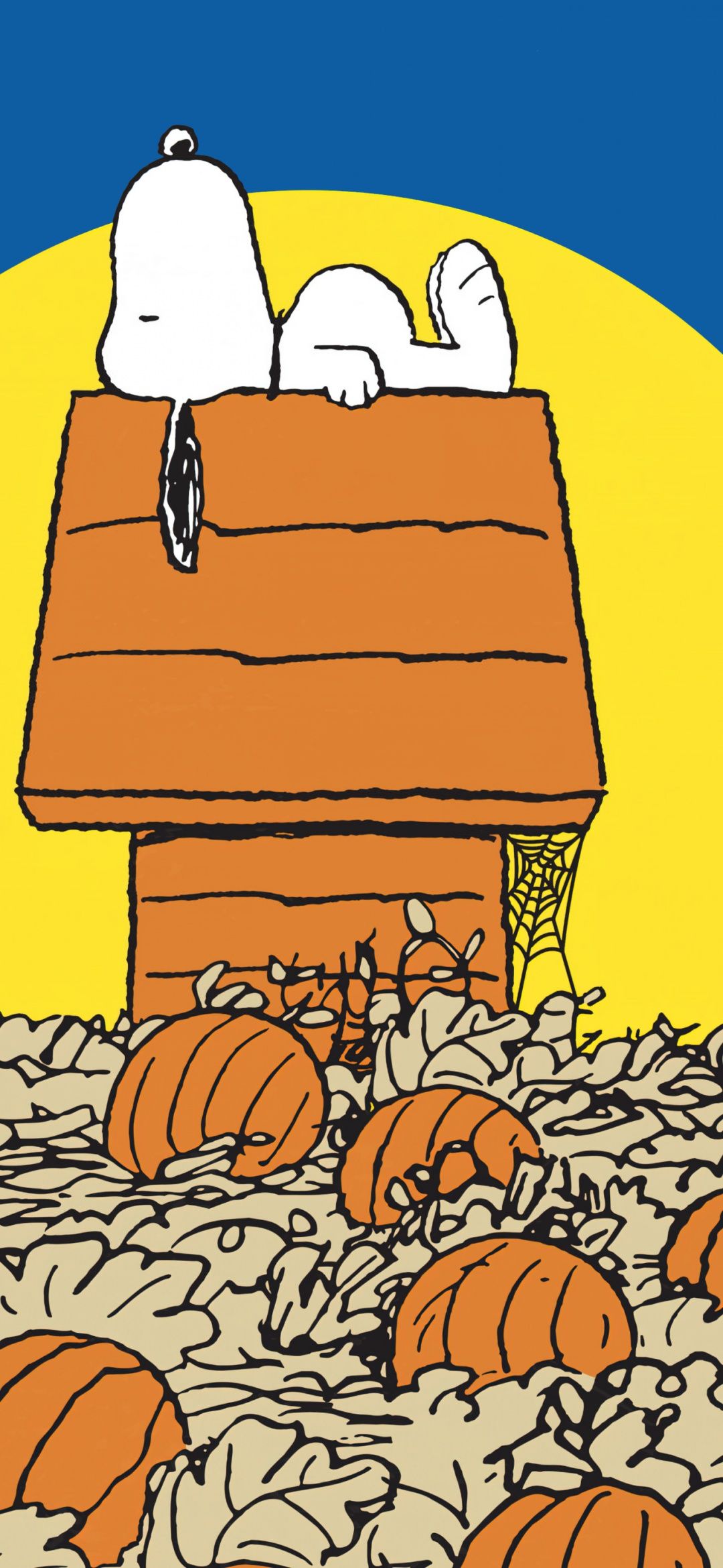 1080x2340 Snoopy Halloween Wallpaper 4K, Pumpkins, Halloween pumpkins