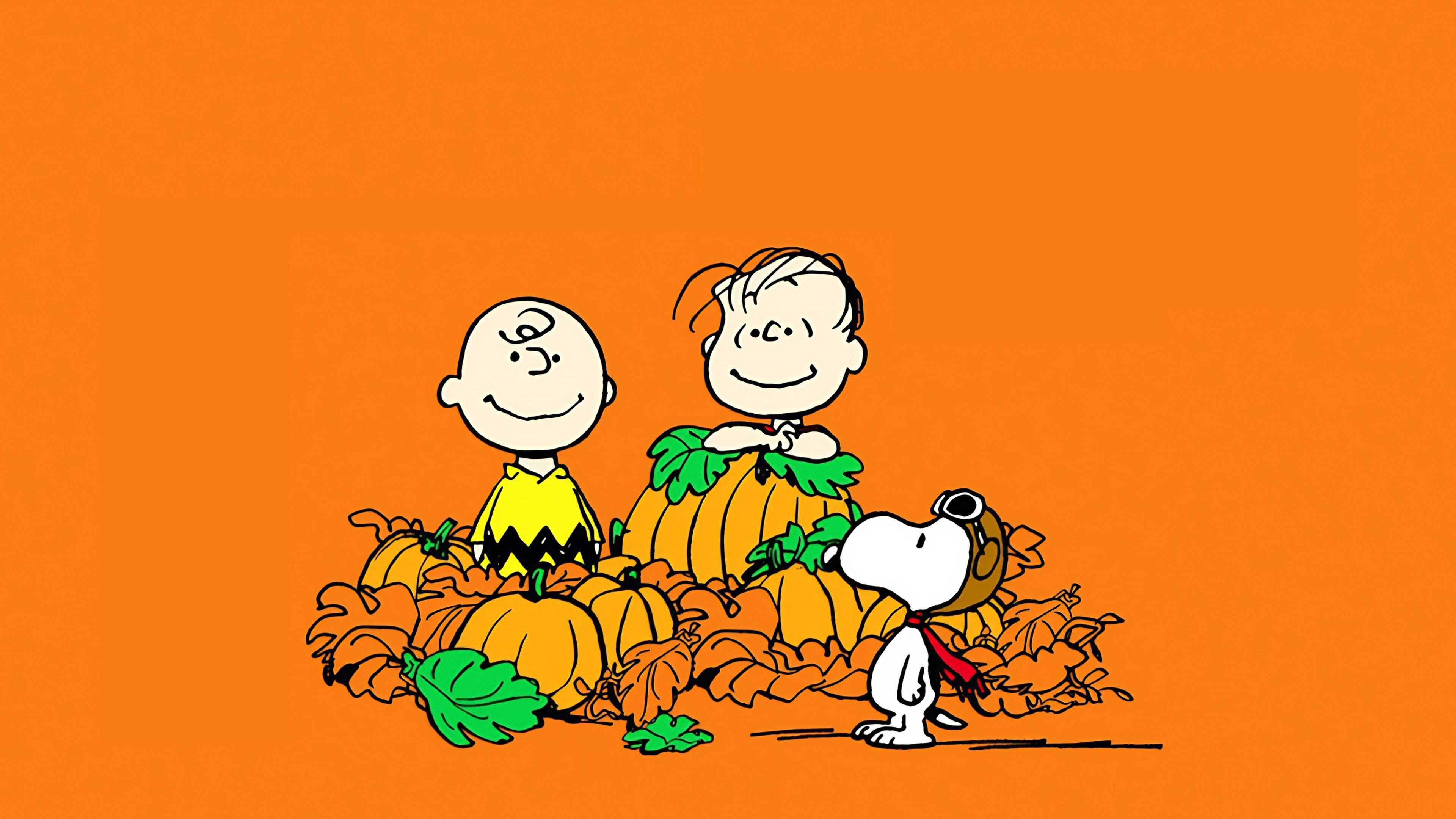 3840x2160 It's the Great Pumpkin, Charlie Brown (1966)