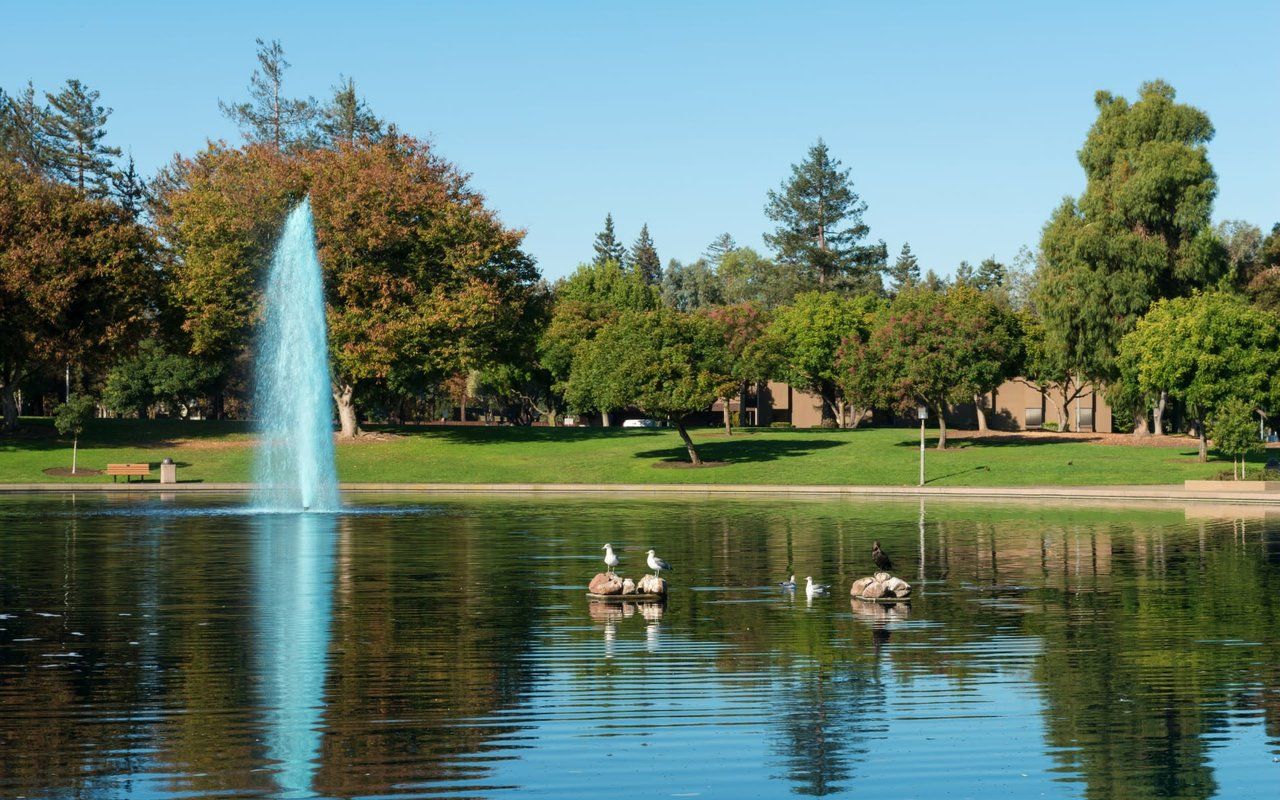 1280x800 Sunnyvale