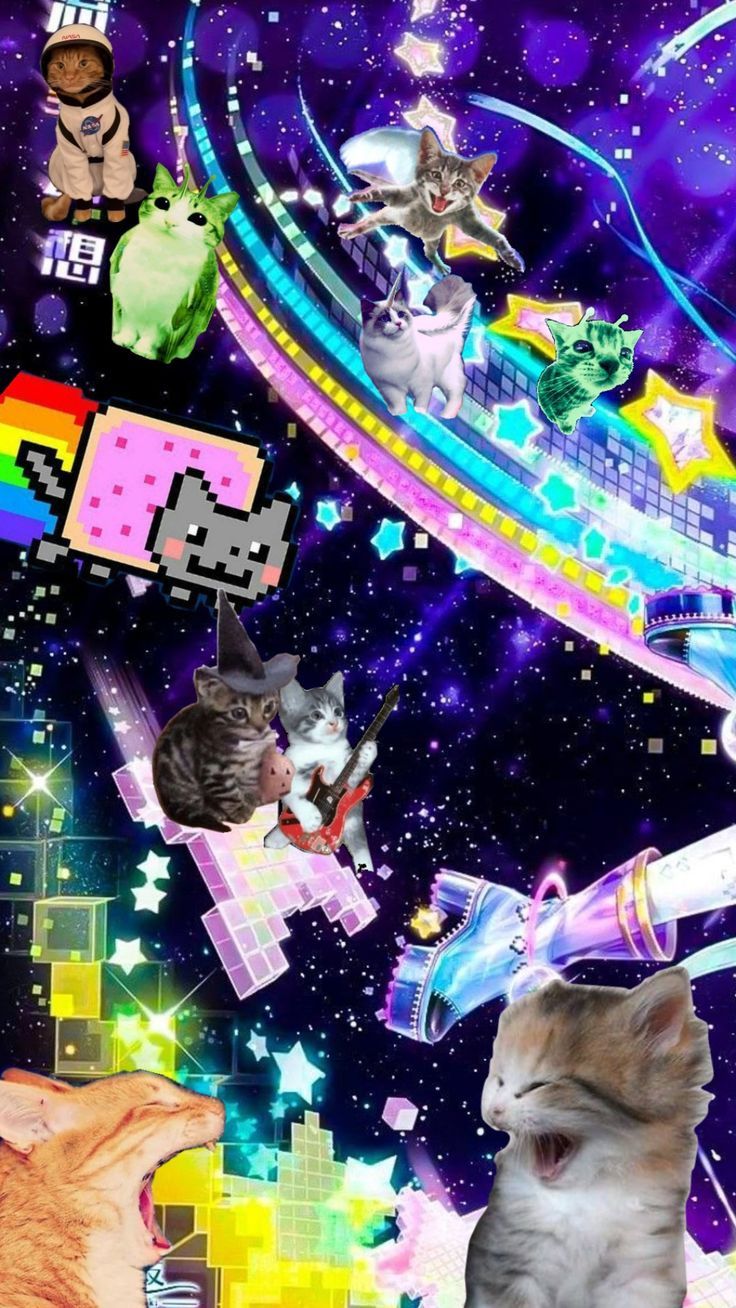 736x1308 Cat galaxy. Cutesy outer space, Internet core wallpaper, Cat text
