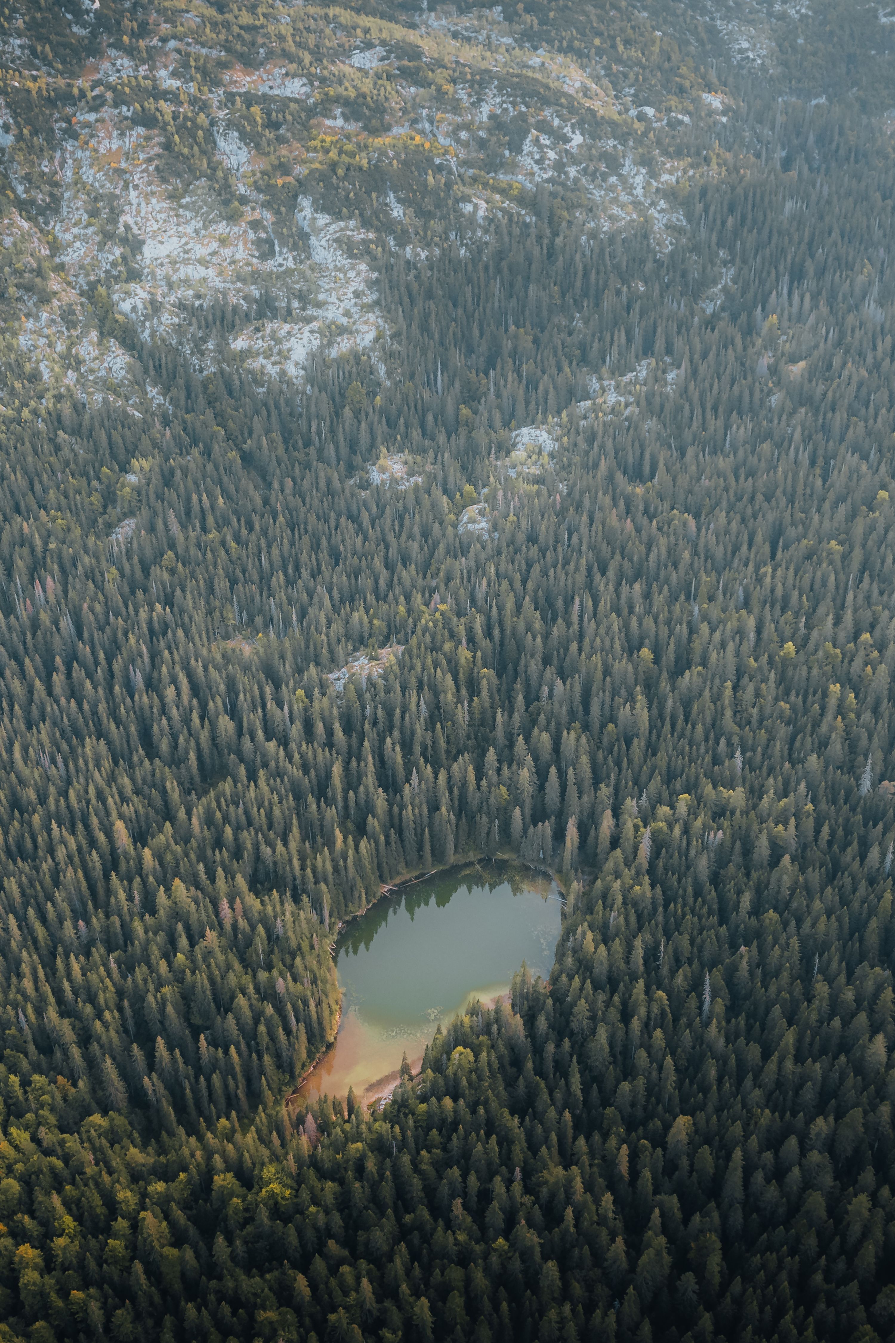 3000x4500 Drone shot wallpaper of trees, lakes, and mountains for iPhone