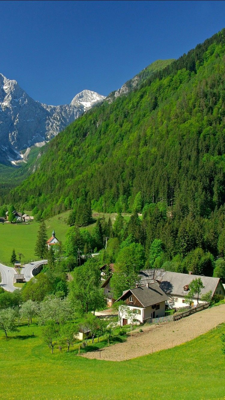 750x1334 Aerial View Of Green Trees Road Houses Green Trees Mountains Slope Under Blue Sky 4K HD Nature Wallpaper