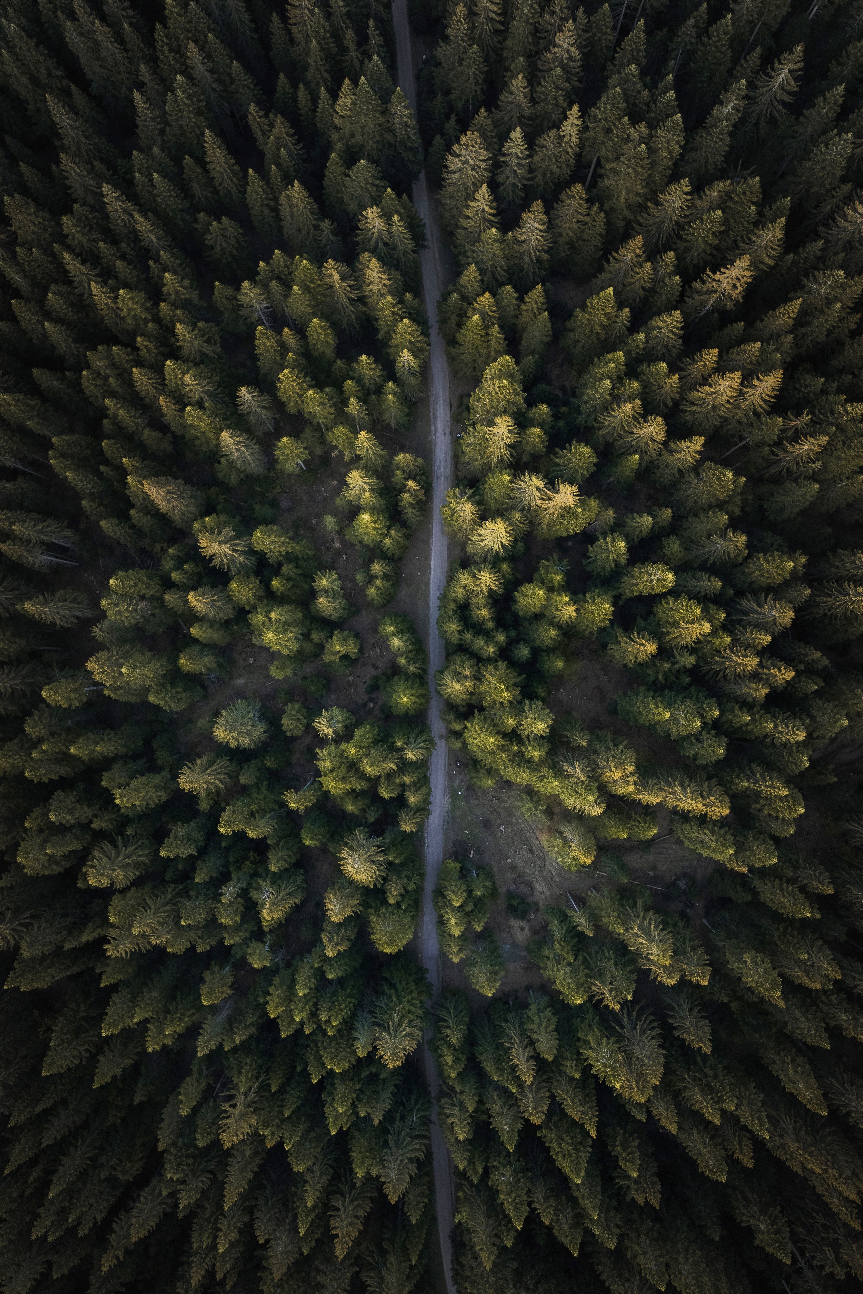 3000x4500 Drone shot wallpaper of trees, lakes, and mountains for iPhone