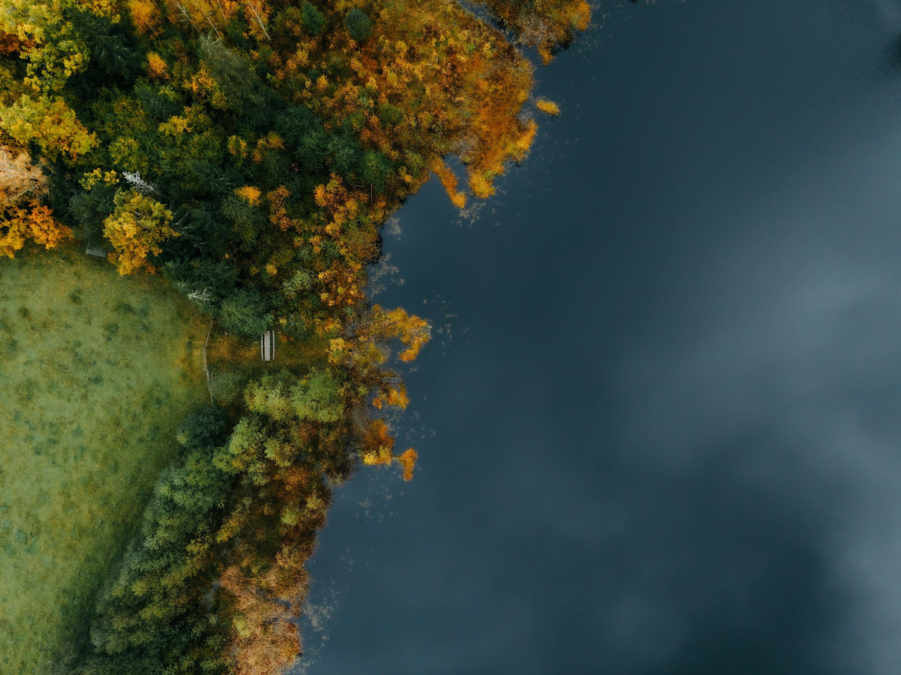 3000x2247 Autumn Tree Top View Wallpaper