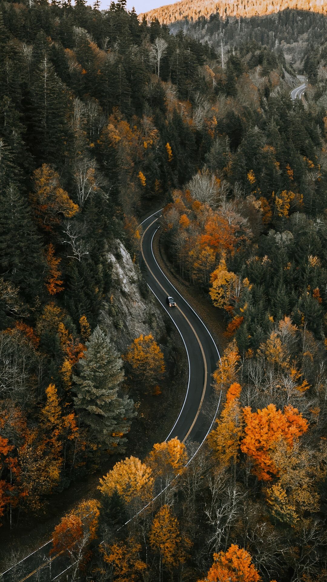 1080x1920 Trees Nature Road Scenery Wallpaper 4K HD PC a