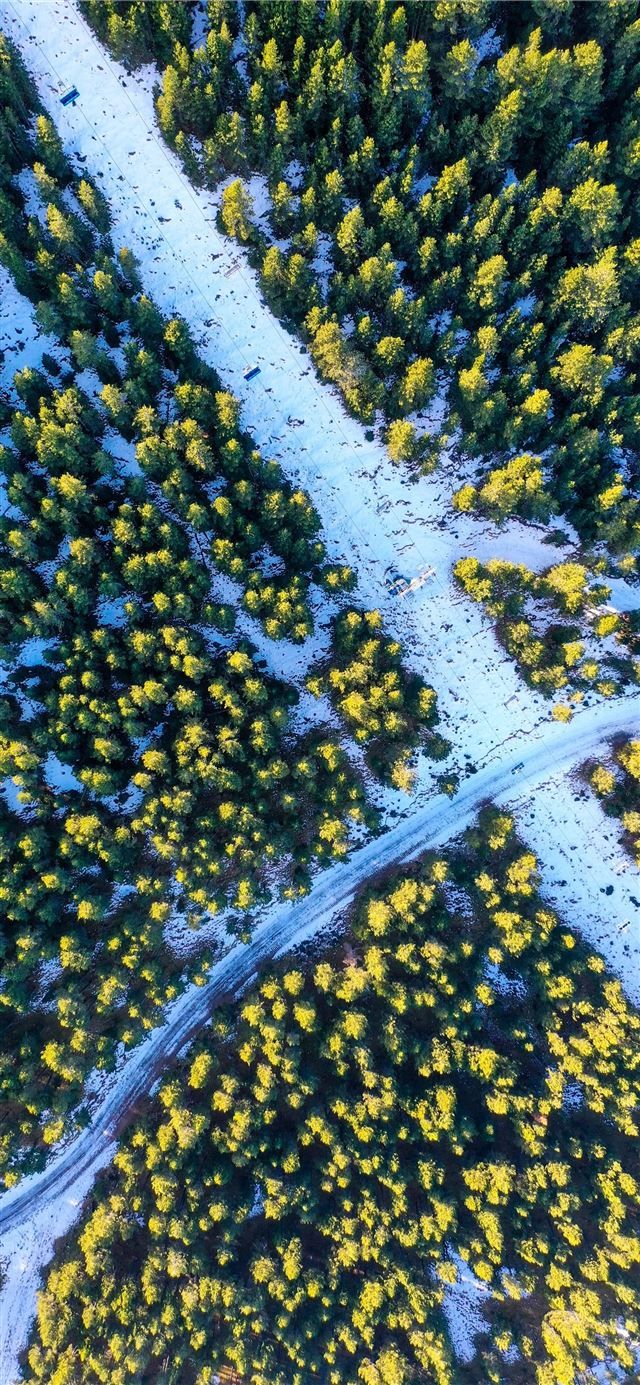 640x1385 Best nature & landscape iPhone 11 and iPhone 11 Pro Wallpaper Free HD