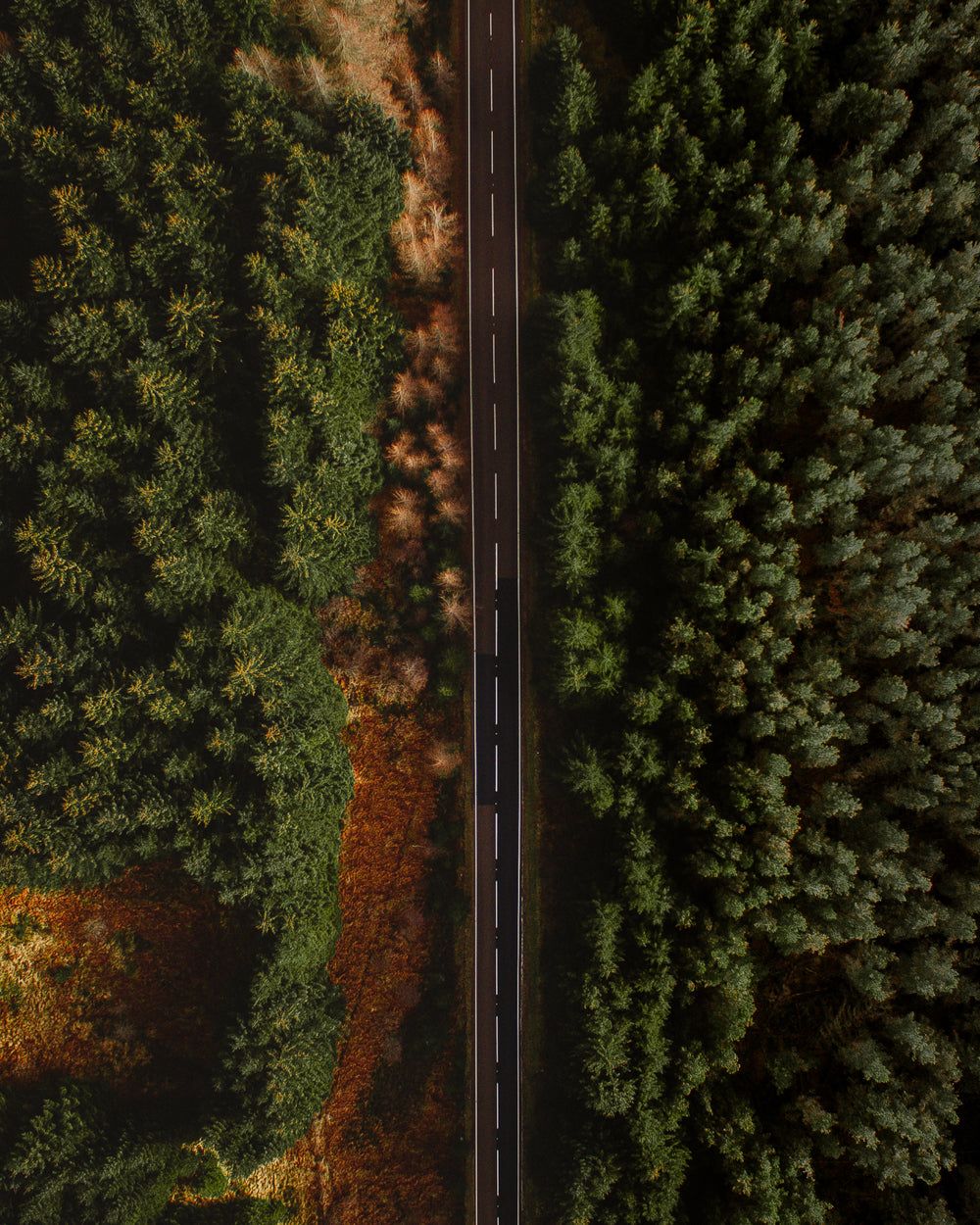 1000x1250 Nature Image [HD] Beautiful Picture of Nature