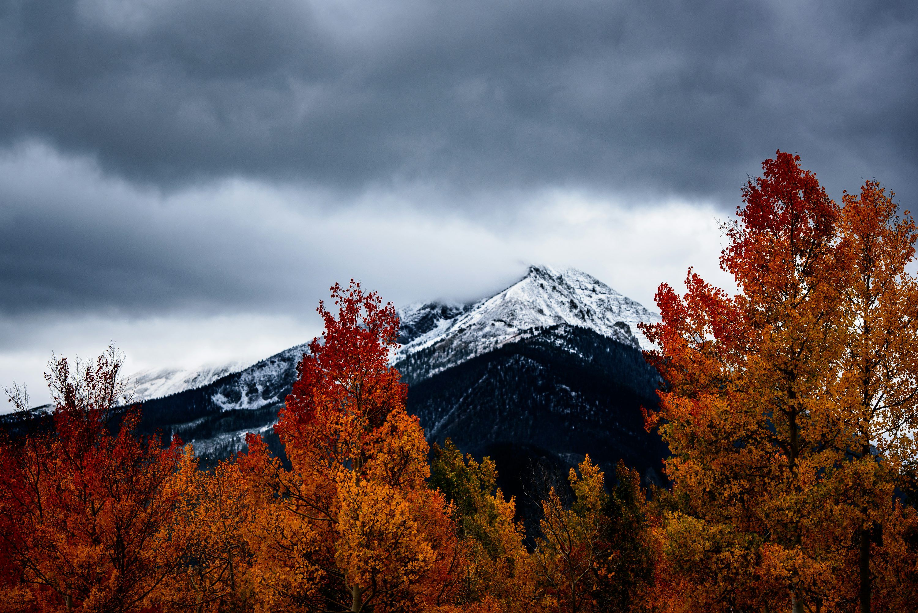 3000x2003 Fall Winter Picture. Download Free Image