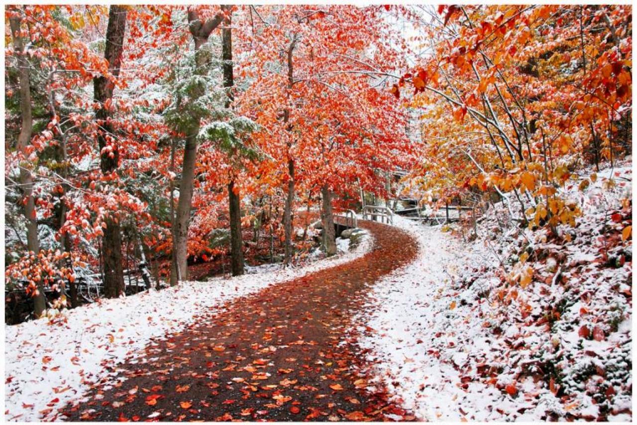 1280x853 Autumn And Winter Wallpaper