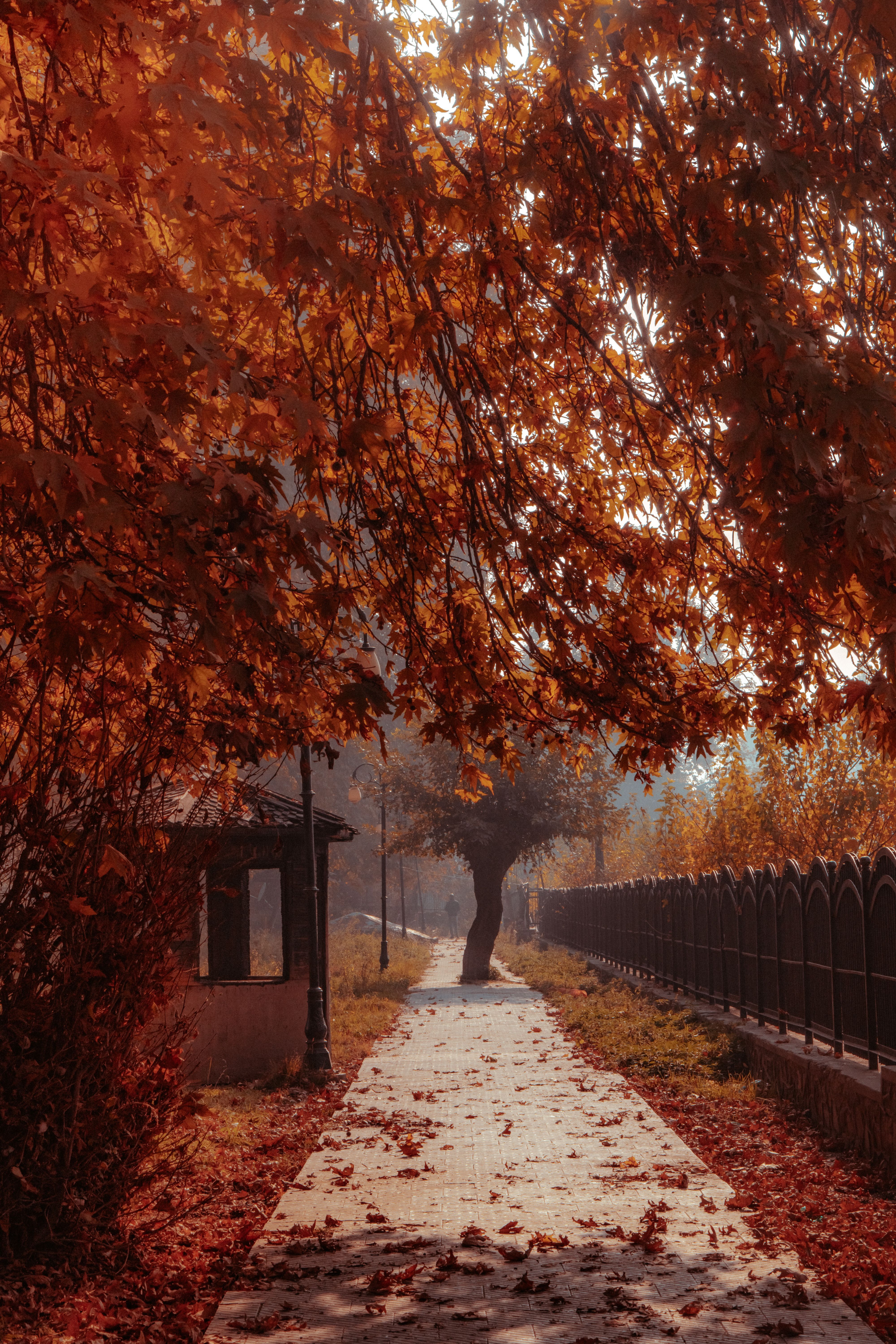 4000x6000 Autumn Wallpaper Photo, Download The BEST Free Autumn Wallpaper & HD Image