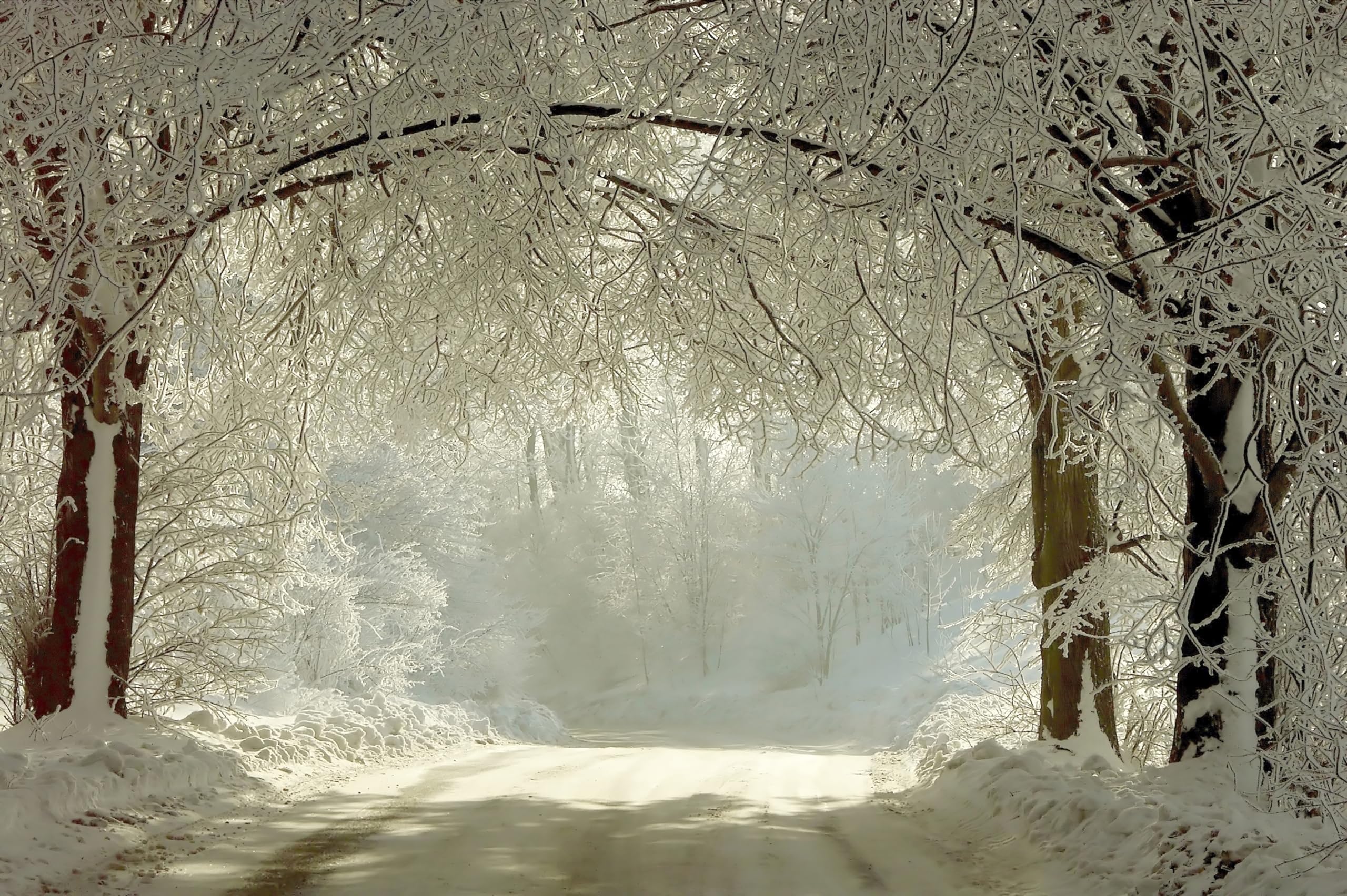 2560x1704 Amazon.com : chnywork 7x5ft Winter Wonderland Backdrop Snow Road Frozen Trees Sun Fall on Branches Natural Background Winter Scenery Theme Party Decorations Photo Booth Studio Props Wallpaper