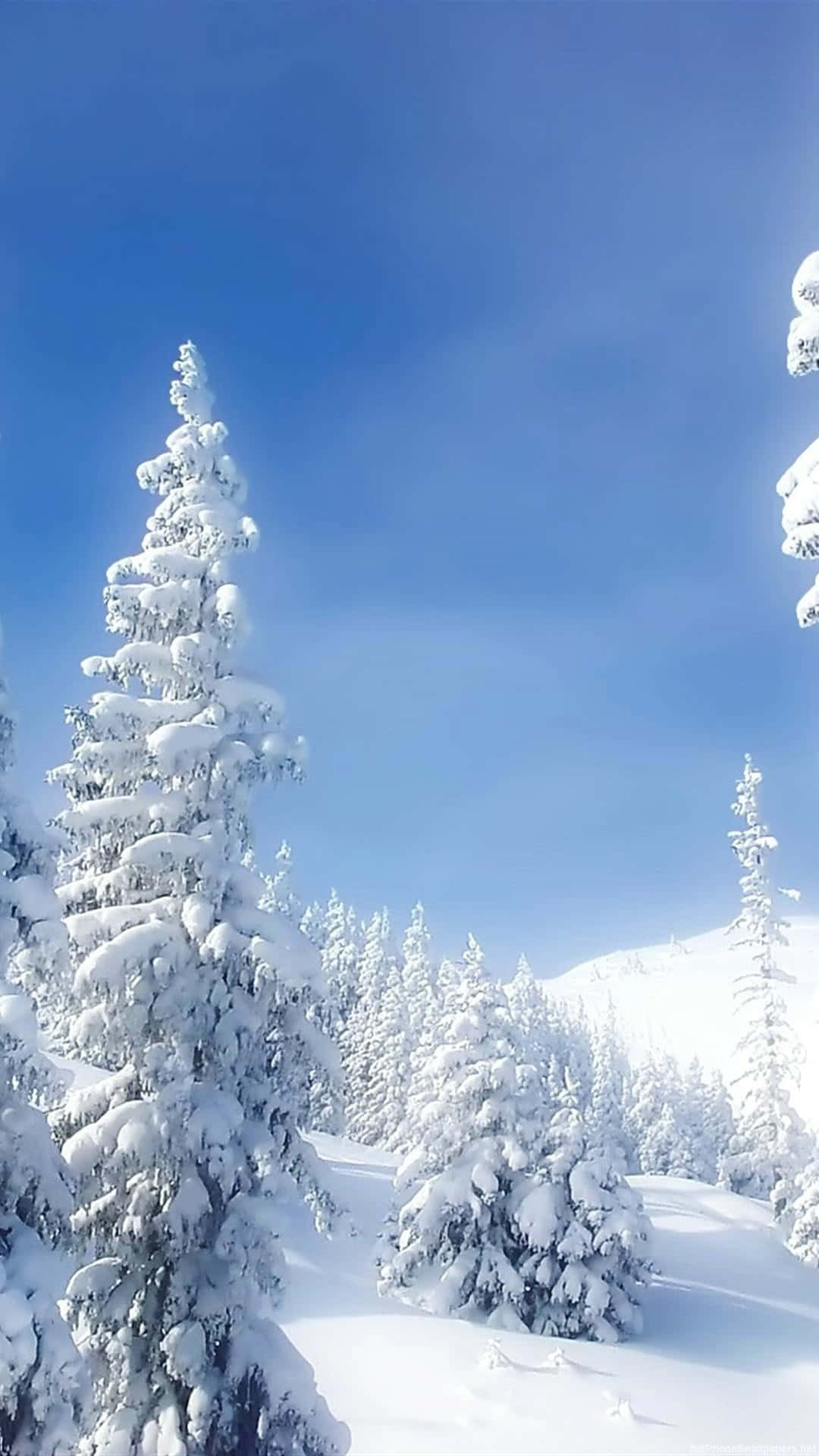 1080x1920 Download A beautiful snow fall in the winter Wallpaper