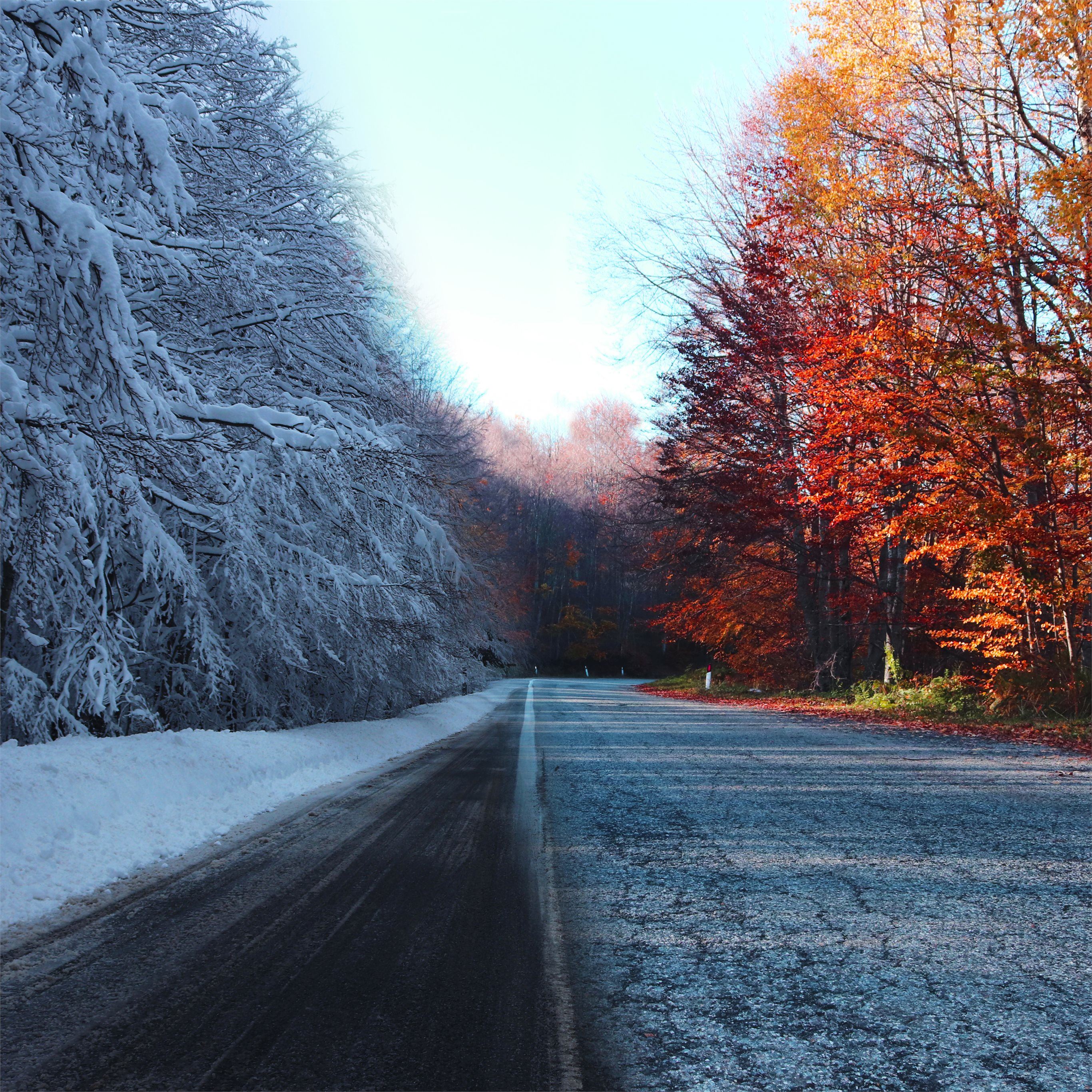 2732x2732 autumn vs winter 5k iPad Pro Wallpaper Free Download