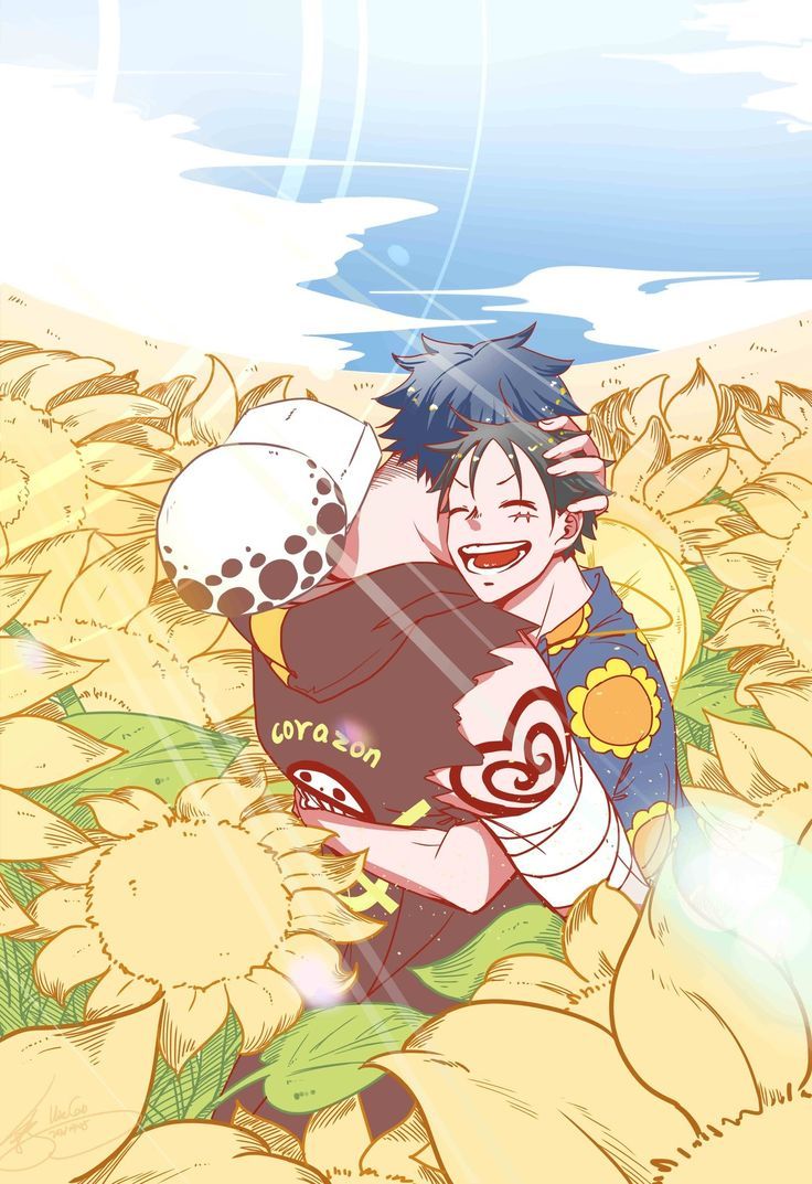 736x1073 Law x Luffy