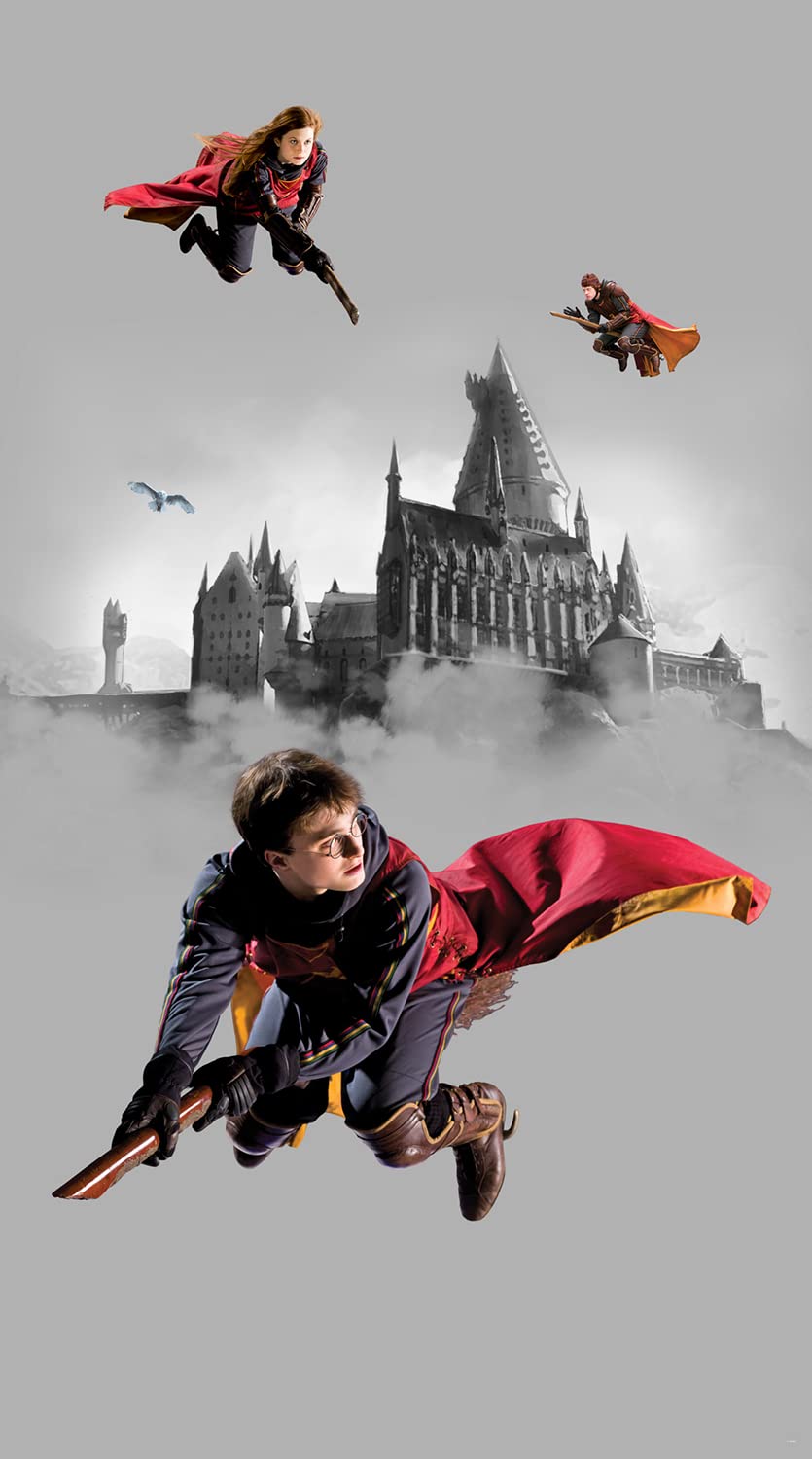 835x1500 AG Design AFTD2P 5614 411 Harry Potter Fleece Photo Wallpaper 150 X 270 Cm 2 Pieces : Buy Online At Best Price In KSA Is Now Amazon.sa: DIY & Tools