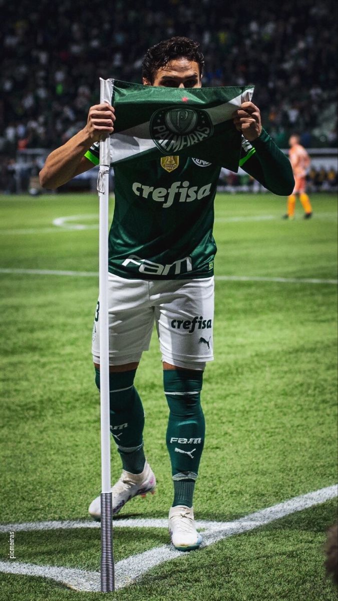 675x1200 Palmeiras Veiga
