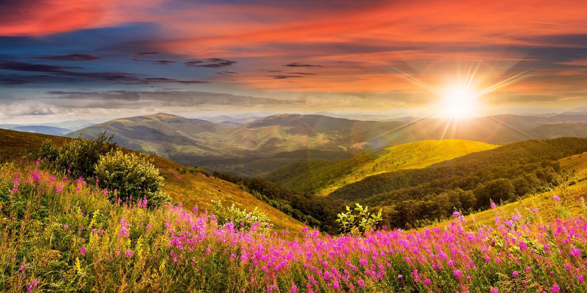 1920x960 Sunrise Over Pink Wildflowers in Mountain Meadow Ultra HD Wallpaperx2323