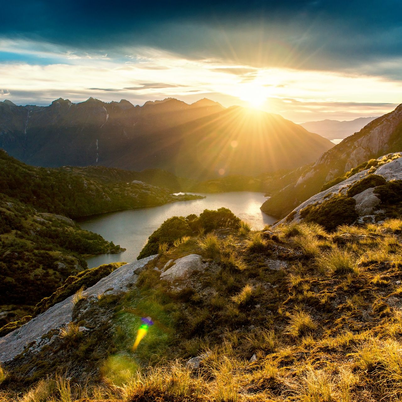 1280x1280 Fiordland Wallpaper 4K, New Zealand, Sunrise