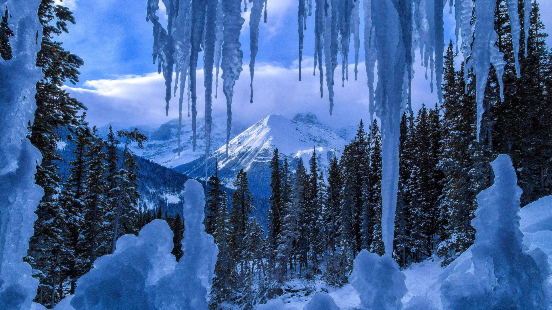 1920x1080 Jasper National Park Winter Wonderland: Frozen Forest Ice Majesty HD Wallpaperx1440