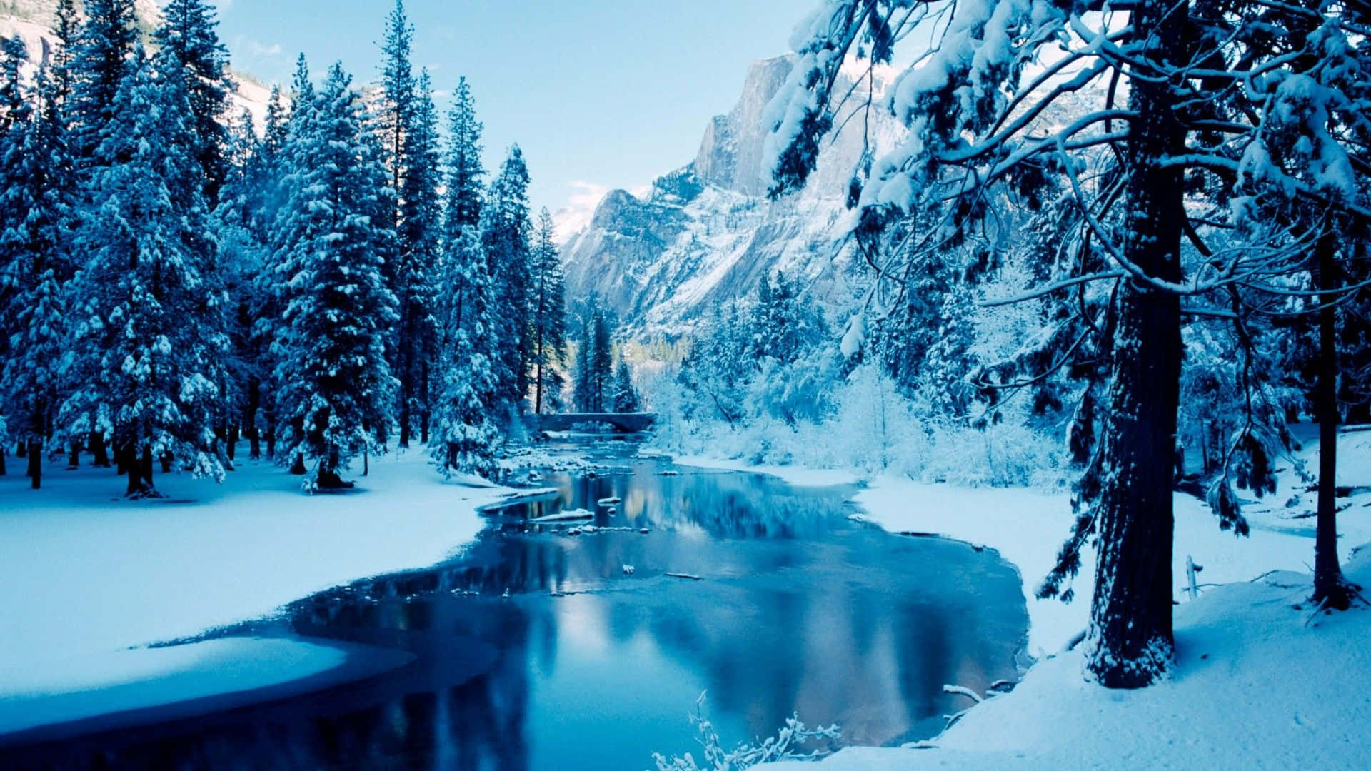 1920x1080 Download Experience the Peaceful Beauty of Winter Forest. Wallpaper