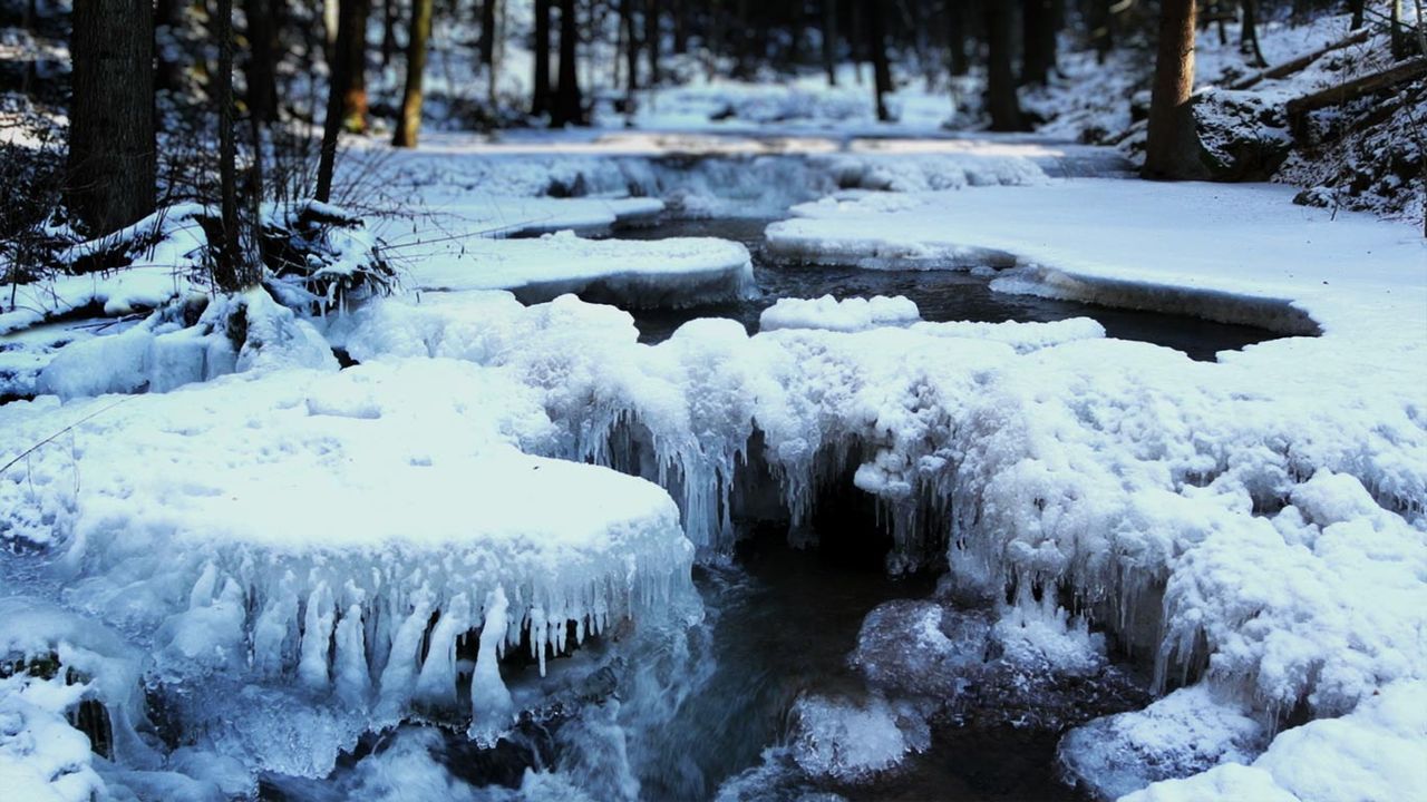 1280x720 Icy creek in Bavarian Forest National Park, Germany Gallery · Peapix