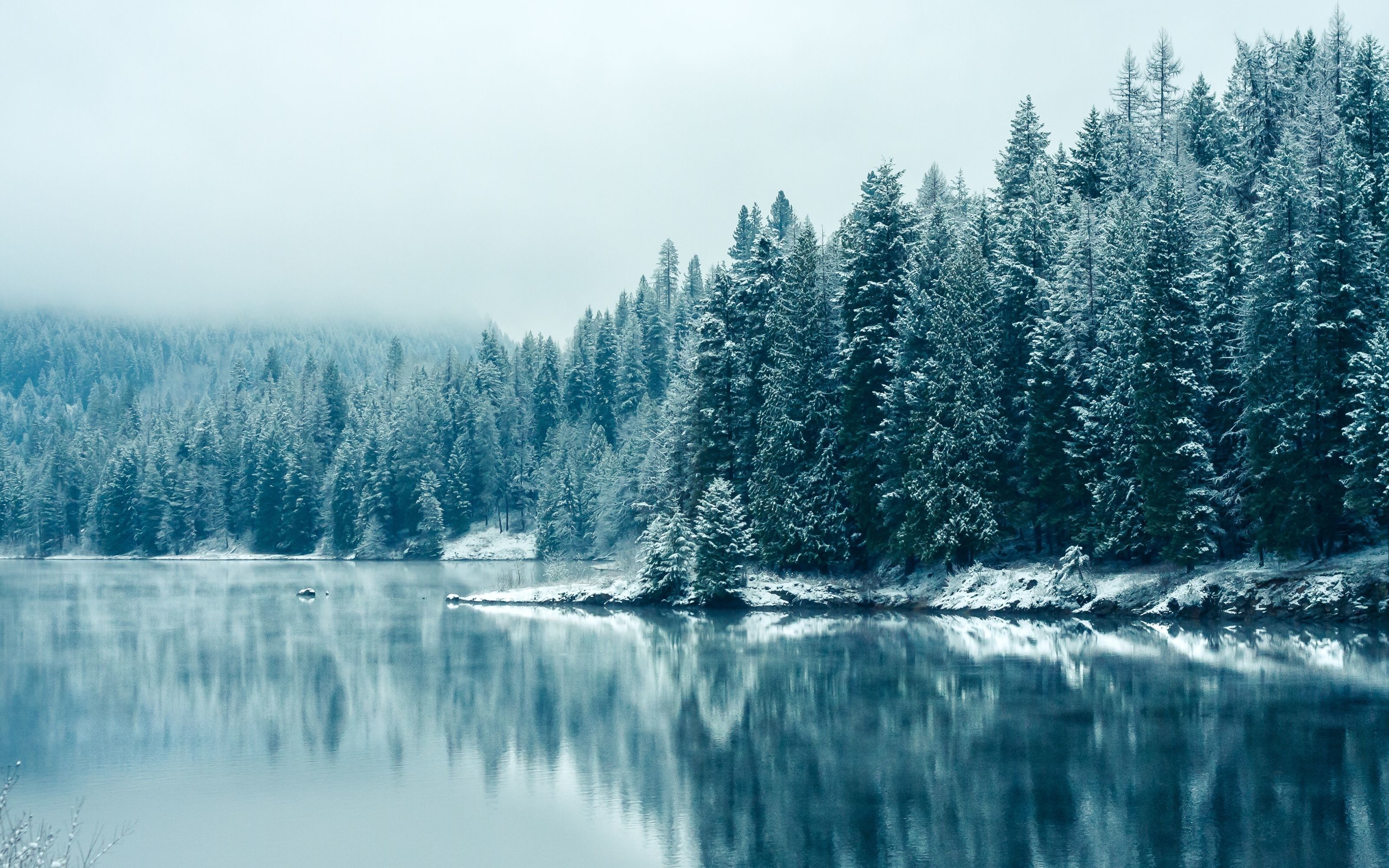 3200x2000 Frozen Forest Wallpaper